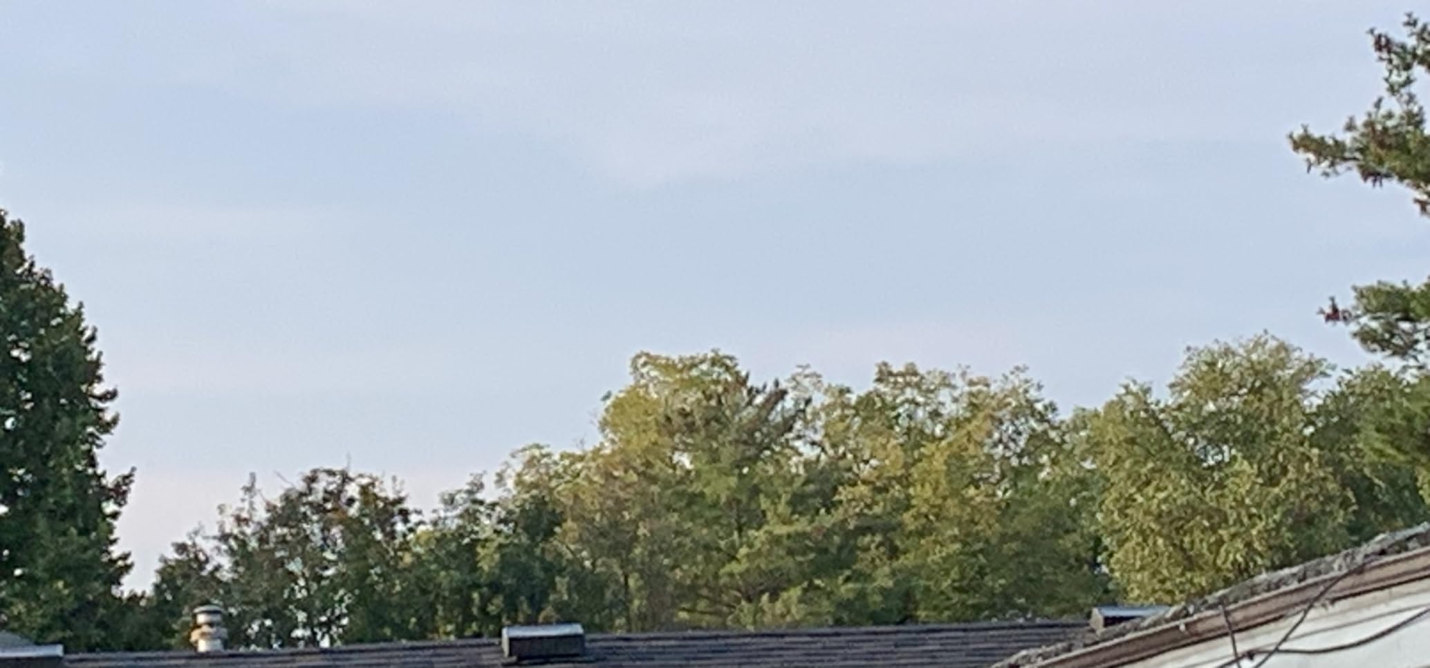 Celestron - Outland X 8x42 Binoculars - Ideal for Birding and Outdoors - 42mm Objective Lenses - Wide 7° Field of View - BaK-4 Prisms - Multi-Coated - Waterproof and Fogproof customer photo 2