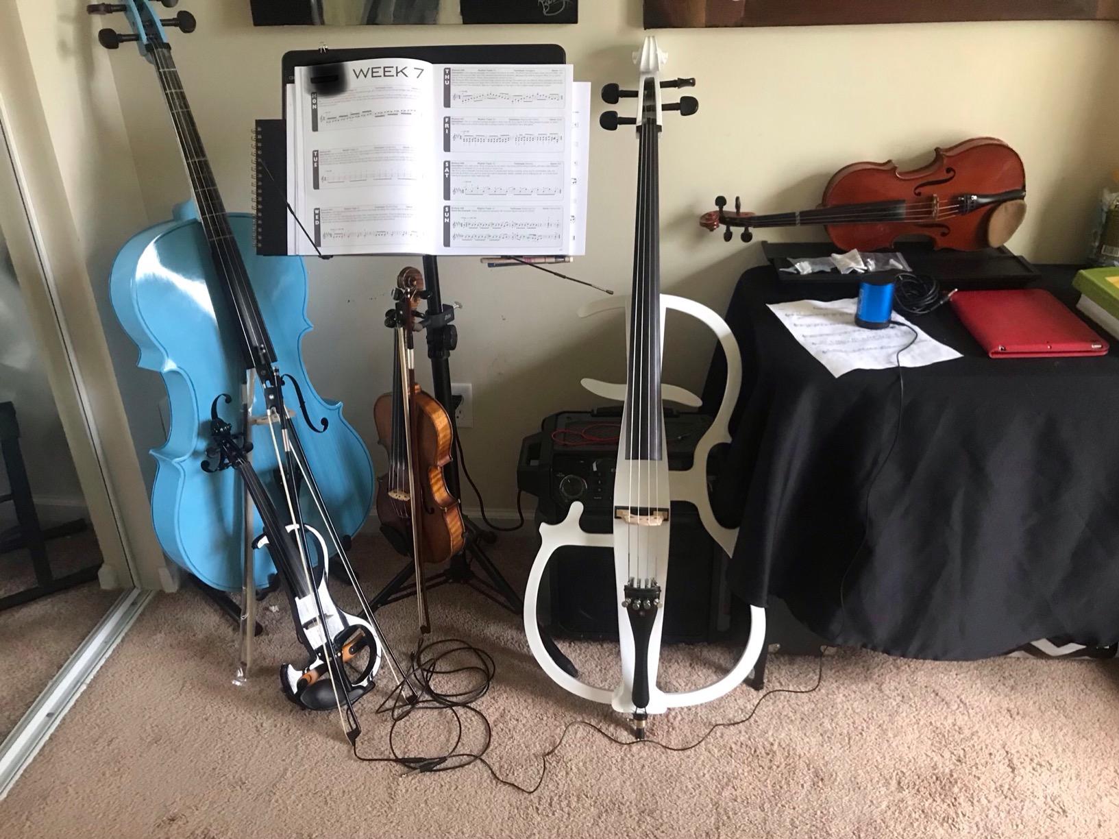 Cecilio 4/4 Electric Cello with Ebony Fittings, Professional Silent Electric Cello Kit with Bow, Rosin, Aux Cable and Headphone, Pearl White customer photo 1