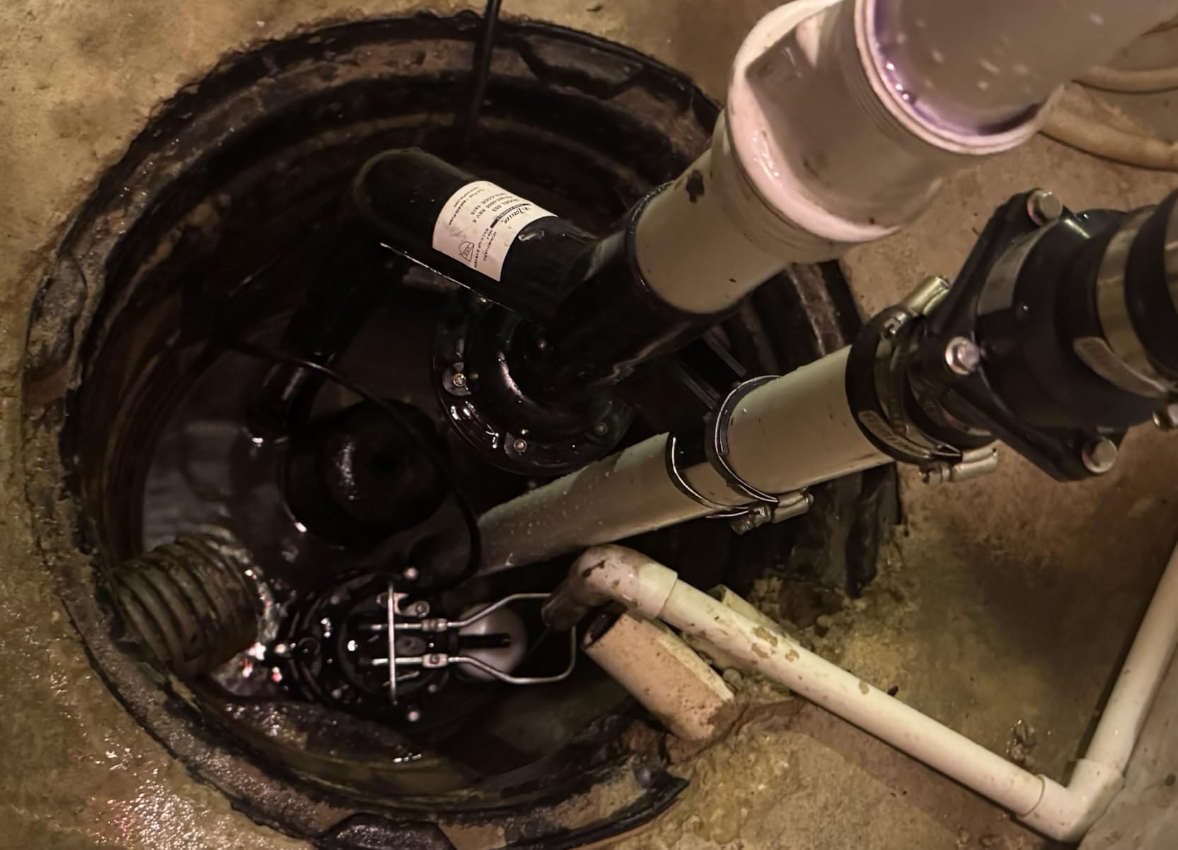 WAYNE CDU980E 3/4 HP Submersible Sump Pump - Cast Iron & Stainless Steel, Vertical Float Switch, 5,490 GPH, 5-Year Warranty customer photo 1