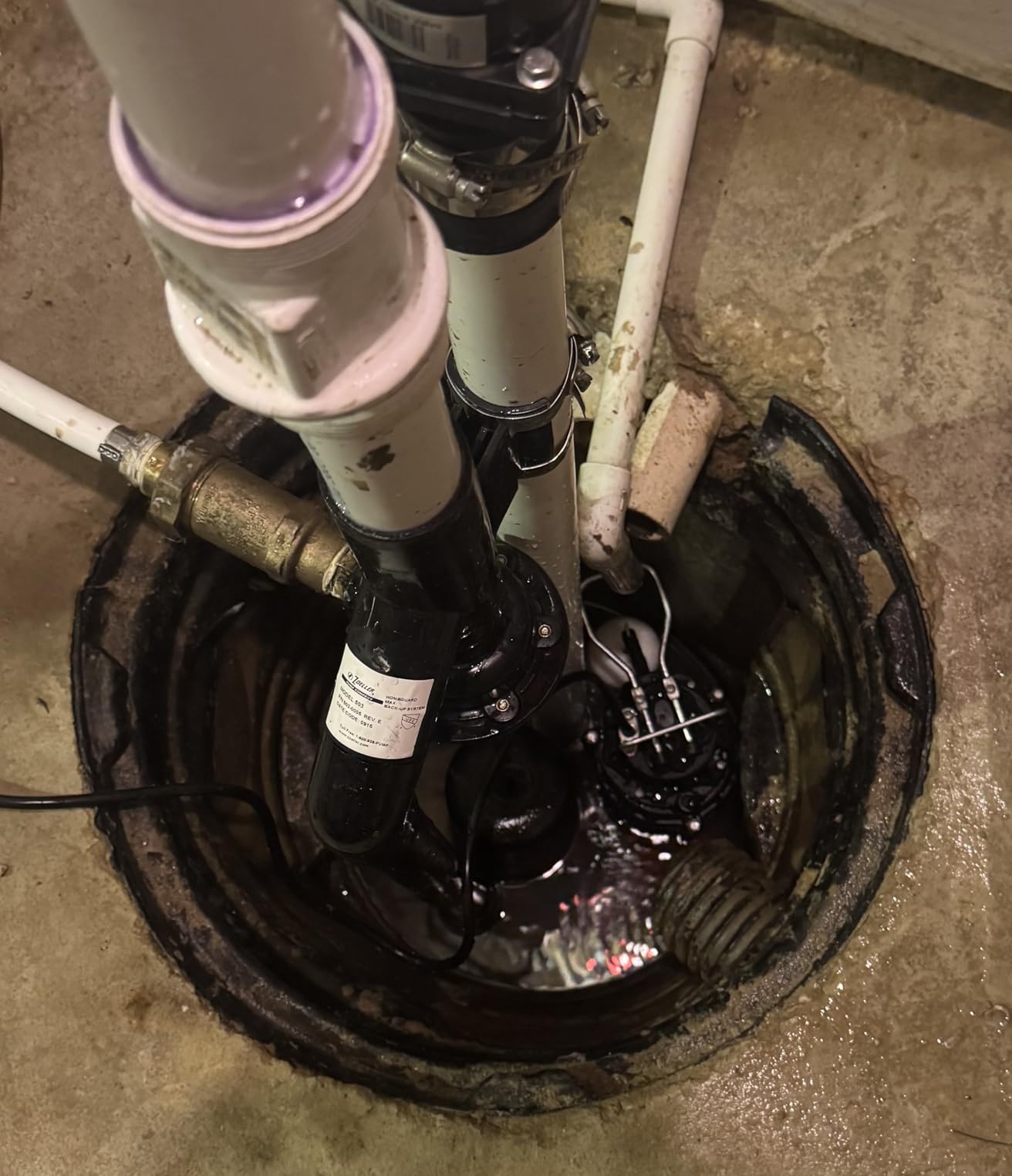 WAYNE CDU980E 3/4 HP Submersible Sump Pump - Cast Iron & Stainless Steel, Vertical Float Switch, 5,490 GPH, 5-Year Warranty customer photo 2