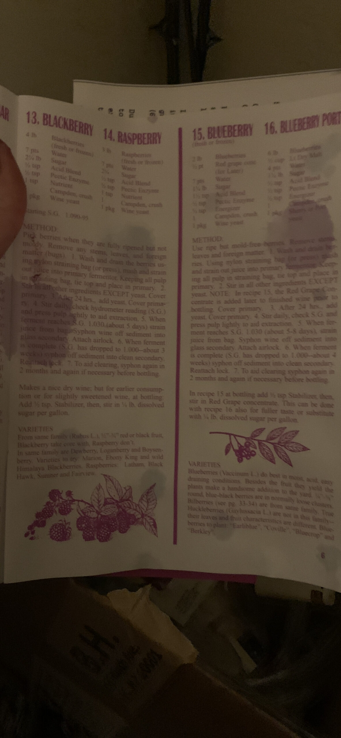 1 Gallon Wine from Fruit Kit customer photo 10