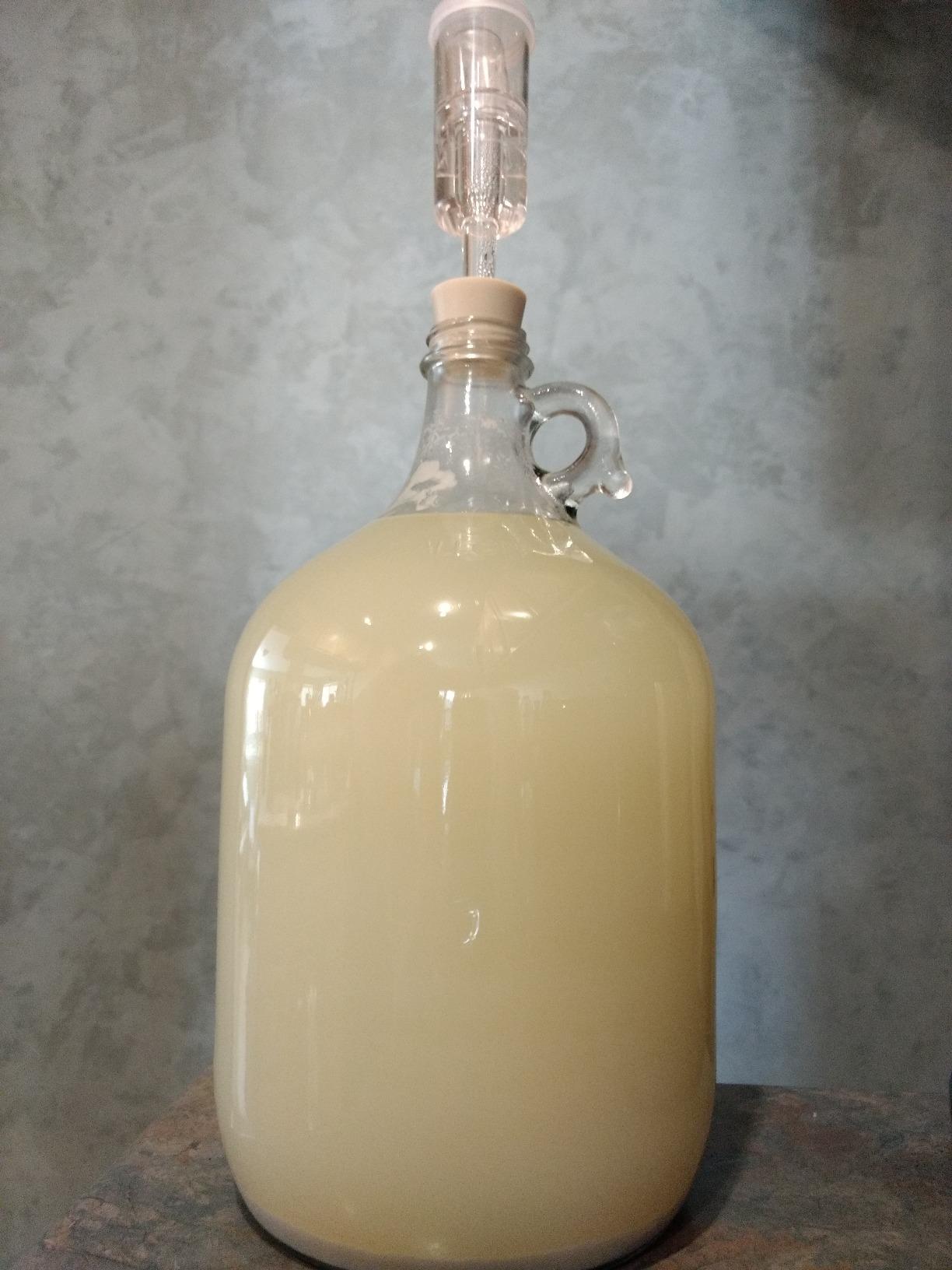 1 Gallon Wine from Fruit Kit customer photo 12