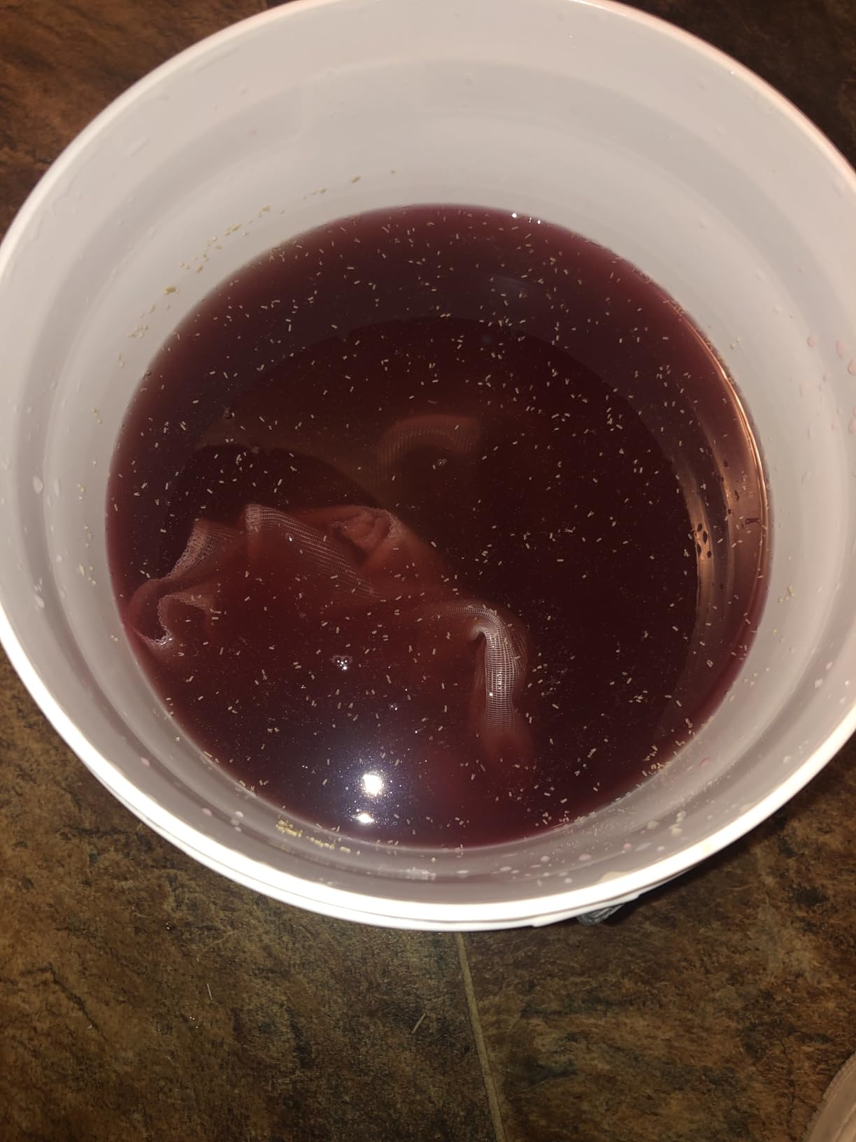 1 Gallon Wine from Fruit Kit customer photo 5
