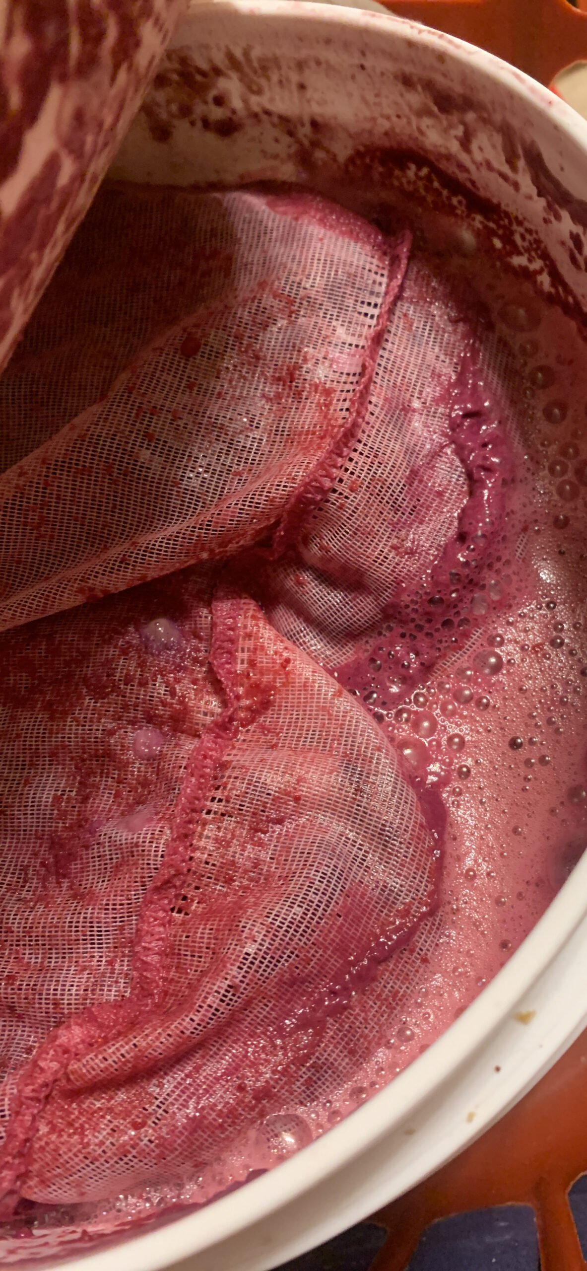 1 Gallon Wine from Fruit Kit customer photo 8