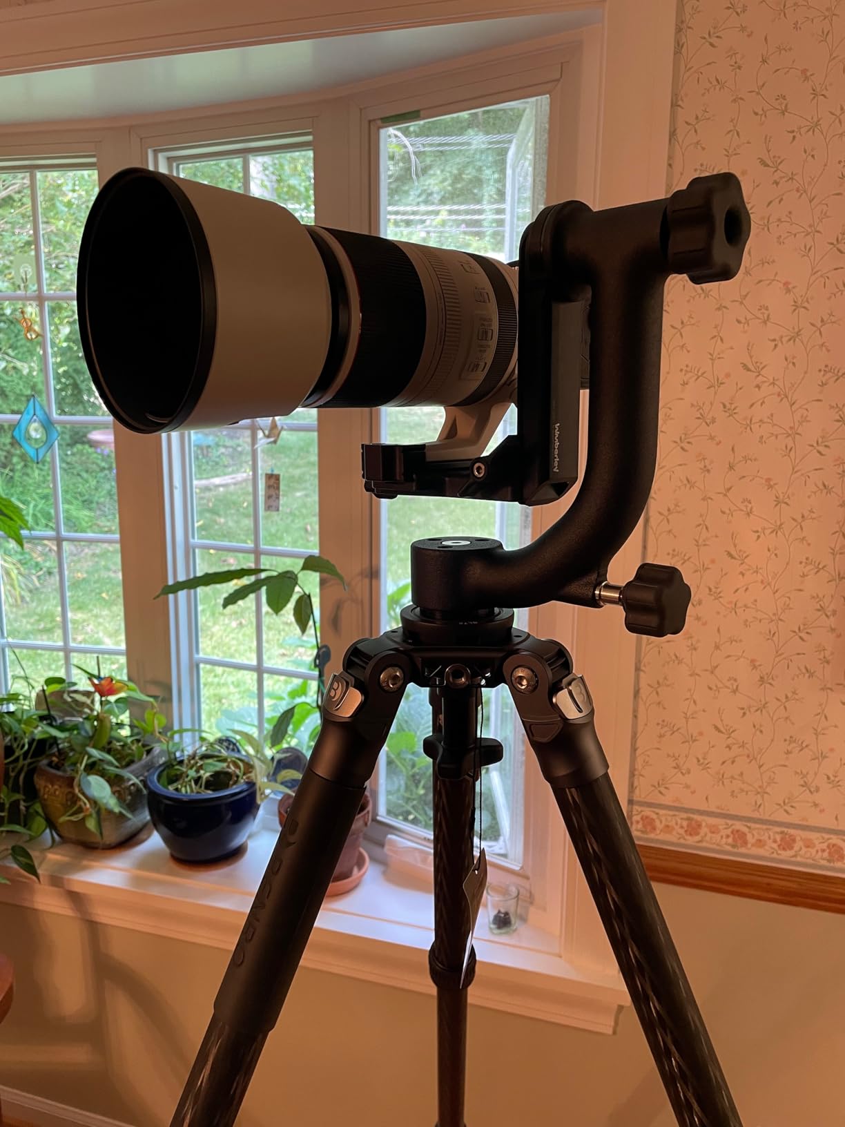 Wimberley WH-200 Wimberley Gimbal Head II - Made in USA customer photo 1