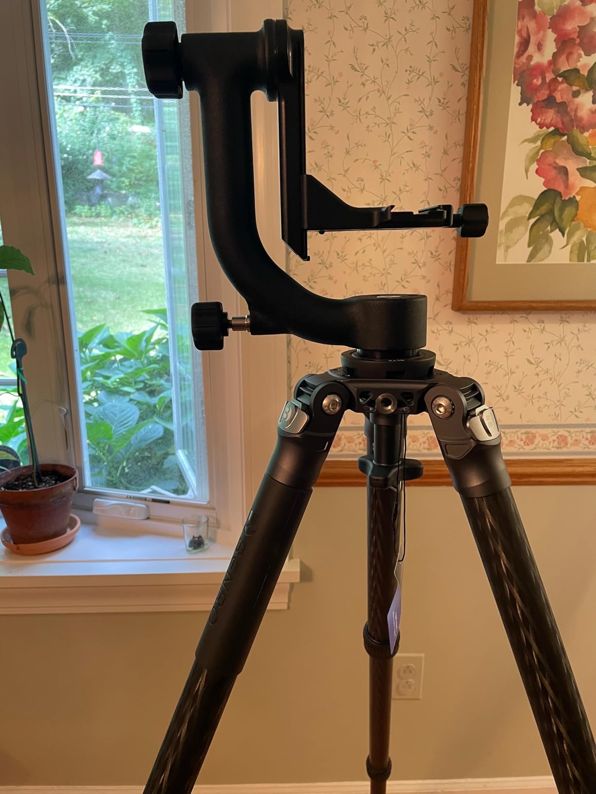 Wimberley WH-200 Wimberley Gimbal Head II - Made in USA customer photo 2