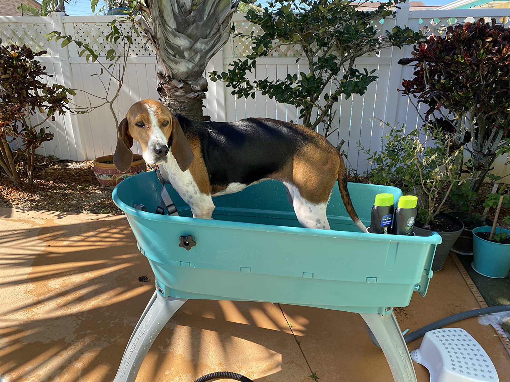 Booster Bath Elevated Pet Bathing, Teal, Large customer photo 2