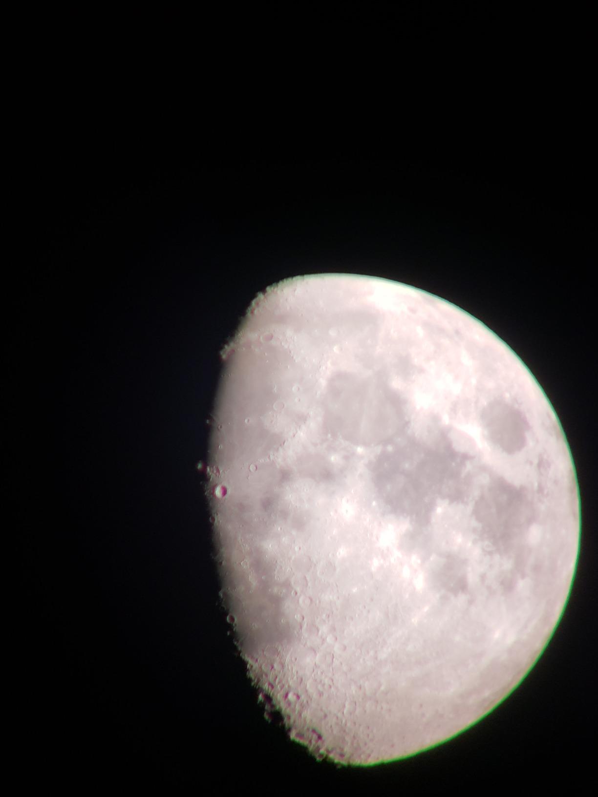 Nikon Prostaff 5 Proscope 82mm Angled Body with 20-60x Zoom, Black customer photo 1