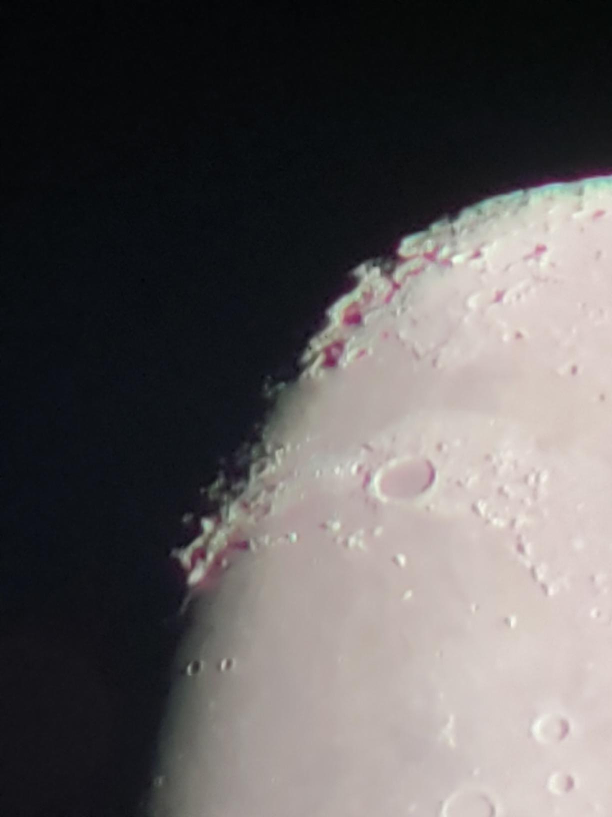 Nikon Prostaff 5 Proscope 82mm Angled Body with 20-60x Zoom, Black customer photo 2