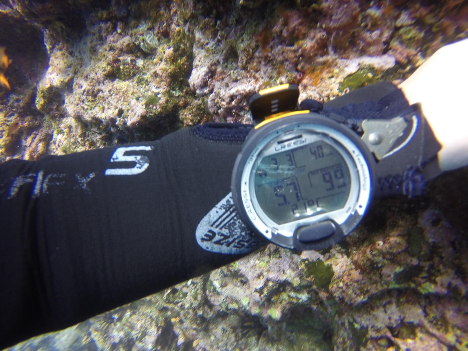 Cressi Leonardo 2.0 Underwater Single-Button Scuba Dive Computer, 3 Modes: Air, Nitrox, Gage, User-Friendly Menu - Designed and Made in Italy customer photo 3