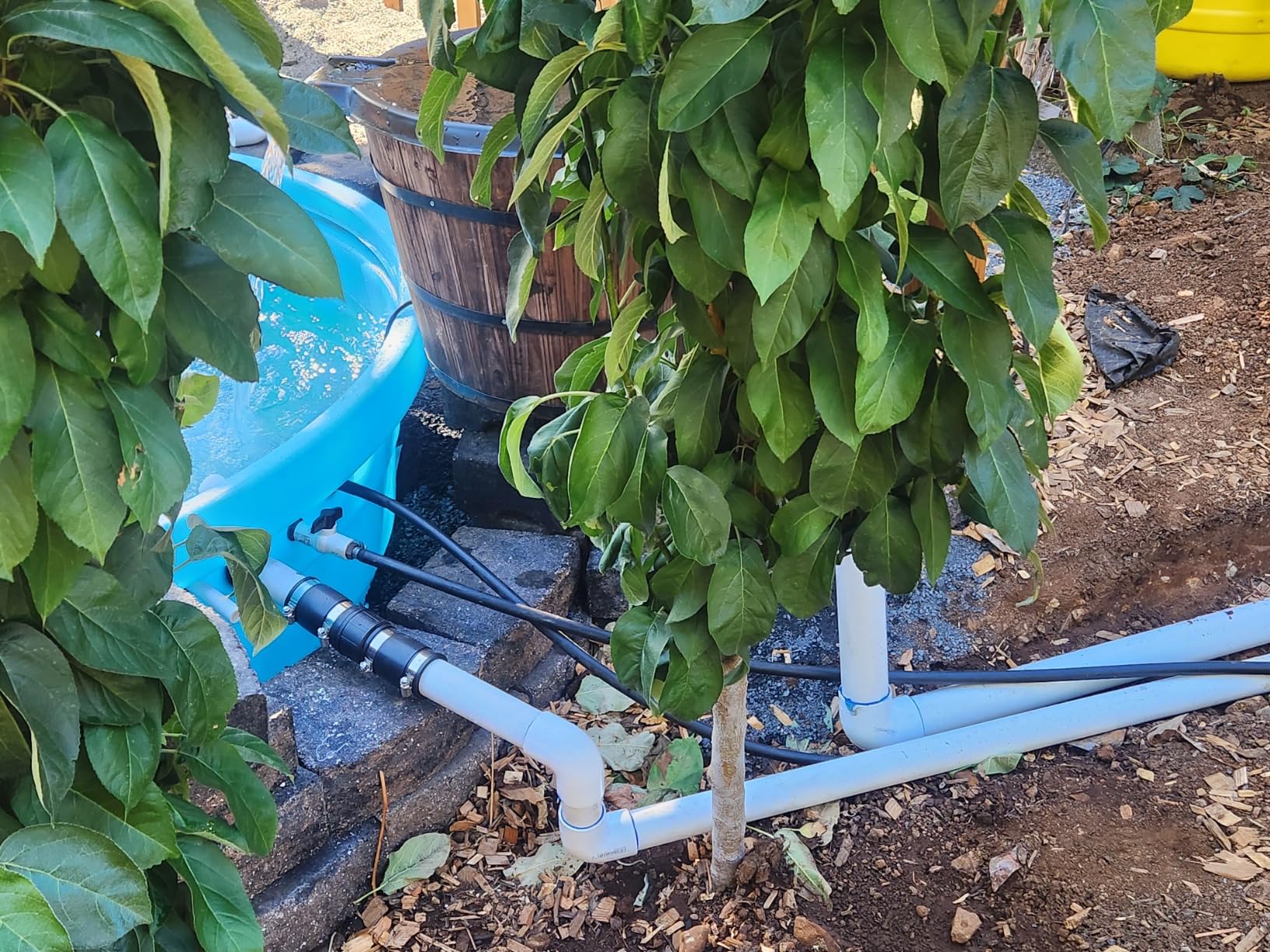 Aquascape 75000 Pond Air 2 (Double Outlet Aeration Kit) customer photo 1