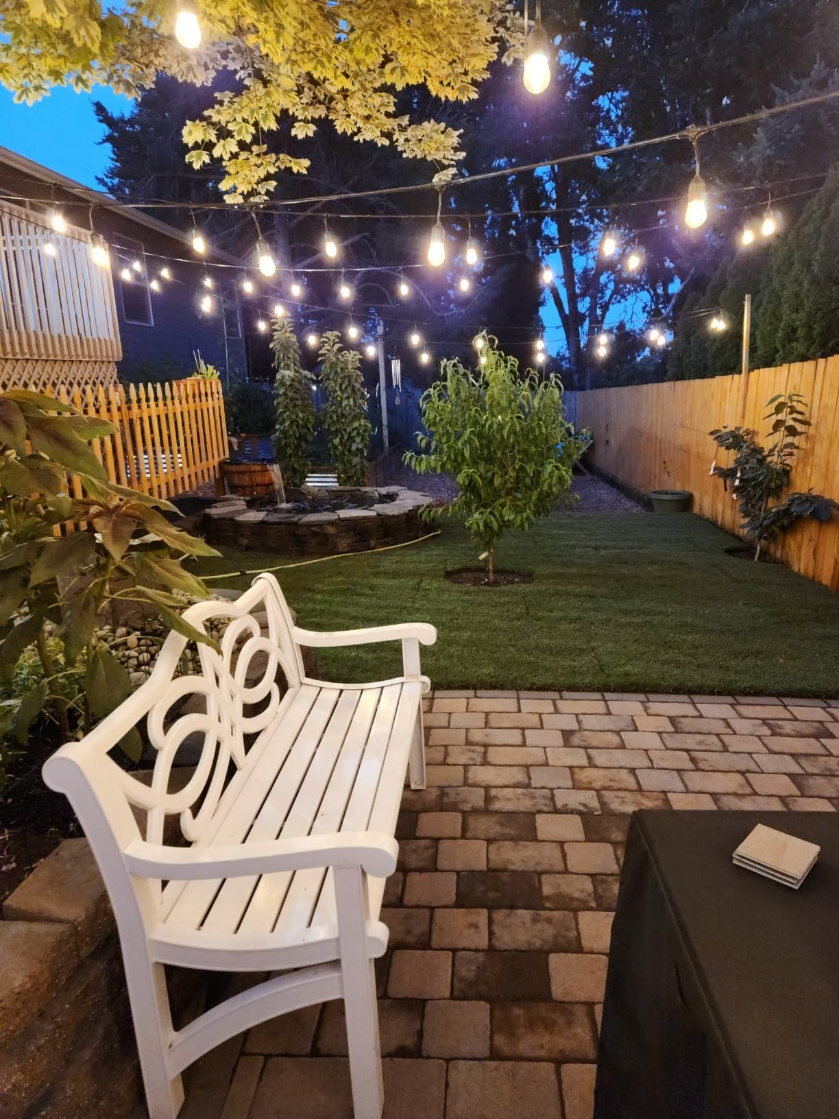 Aquascape 75000 Pond Air 2 (Double Outlet Aeration Kit) customer photo 2