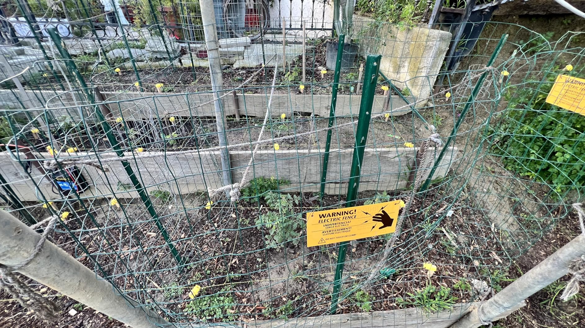 Zareba 10 Mile AC Powered Low Impedance Electric Fence Charger - 10 Mile Plug-In Electric Fence Energizer - Contain Cattle, Horses, Pigs, Goats, Small Livestock - Keep Out Pests & Predators, EAC10M-Z customer photo 1