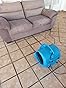 XPOWER X-830 Pro 1 HP 3600 CFM Centrifugal Air Mover, Carpet Dryer, Floor Fan, Blower, for Water Damage Restoration, Janitorial, Plumbing, Home Use Blue customer photo 2