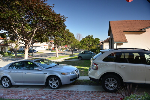 Fotodiox Graduated Gradual ND (Neutral Density) Filter - 58mm customer photo 1
