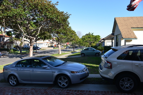 Fotodiox Graduated Gradual ND (Neutral Density) Filter - 58mm customer photo 2