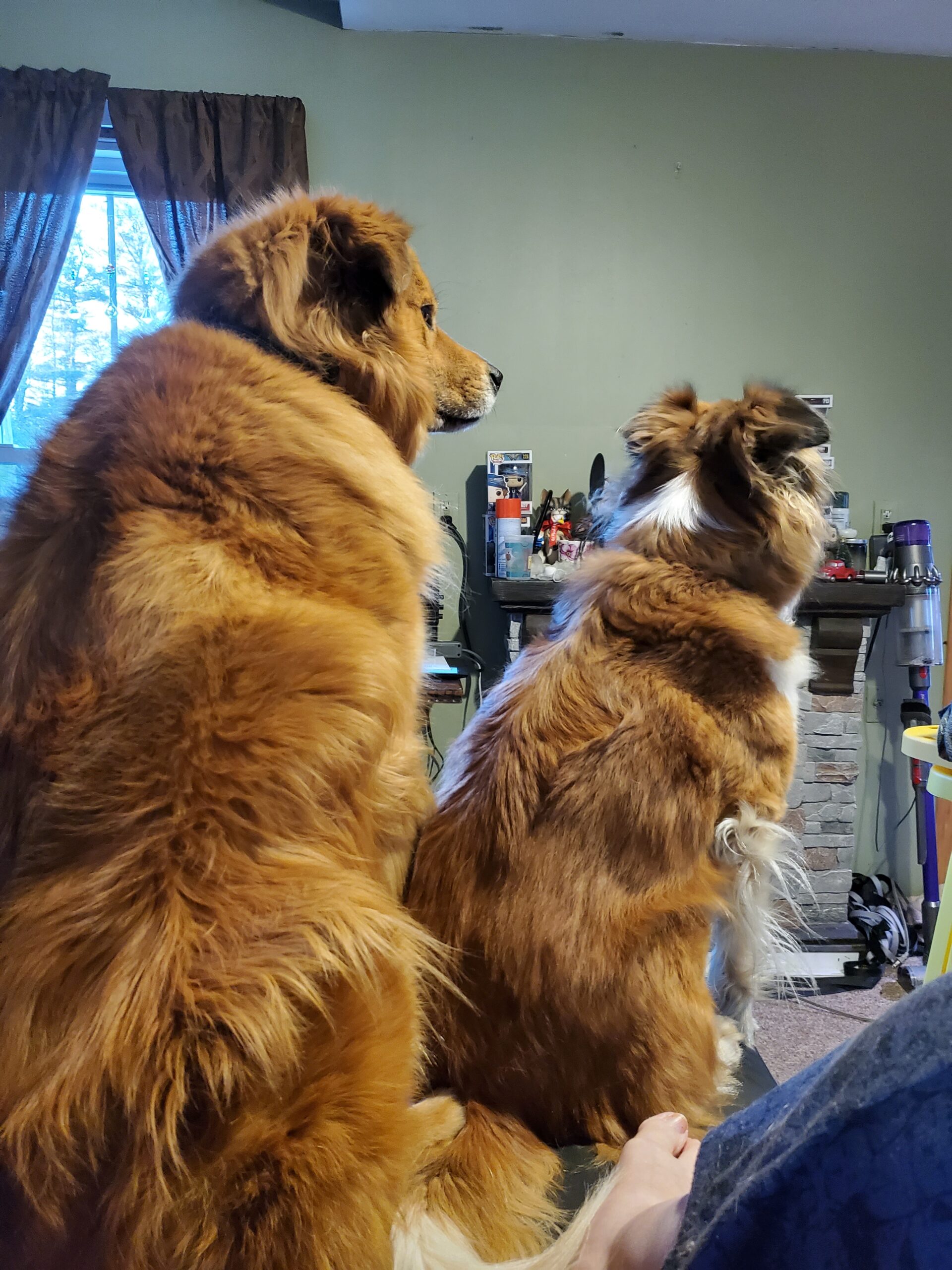 Sierra Comfort Basic Portable Massage Table, Black customer photo 1