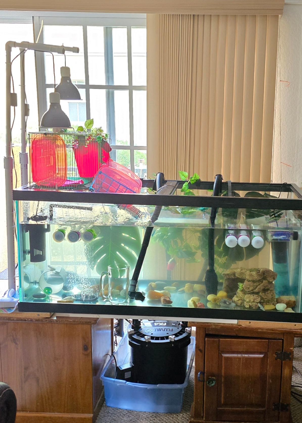 Zoo Med ReptiSun 10.0 Mini Compact Fluorescent Lamp 13 Watts customer photo 2