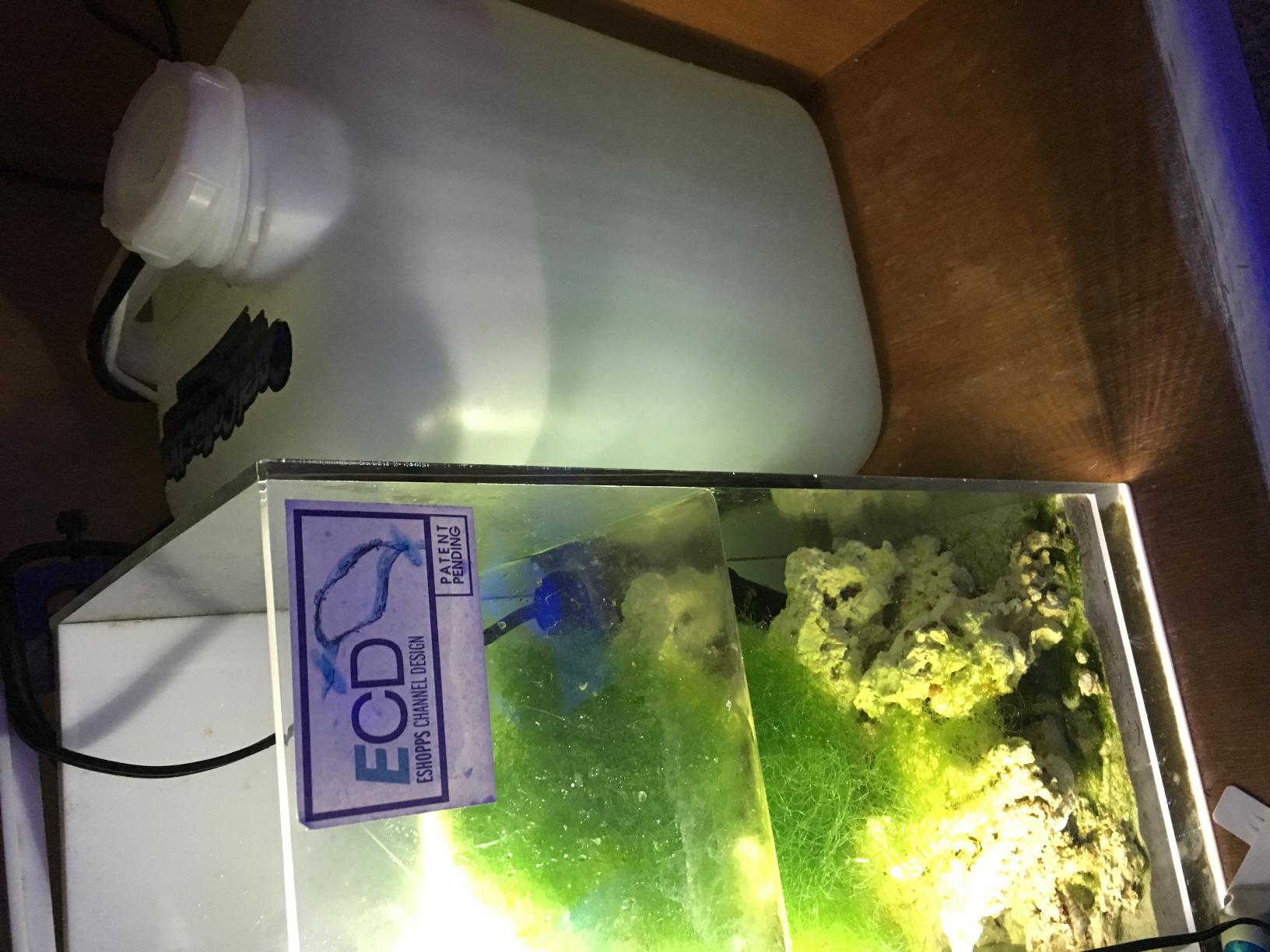 Tunze USA 3152.000 Automatic Top Off Nano Osmolator for Aquariums Under 55-Gallon customer photo 1