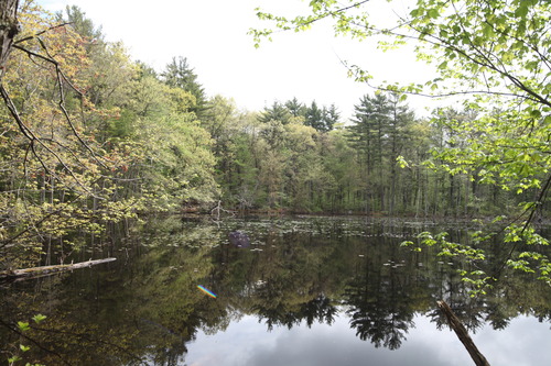 Rokinon TSL24M-C 24mm f/3.5 Tilt-Shift Fixed Lens for Canon customer photo 2