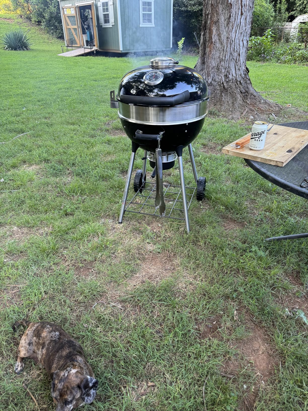 Napoleon PRO22 Professional Charcoal Kettle Grill customer photo 1