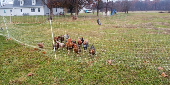 Patriot PE2 Electric Fence Energizer, 0.10 Joule (Original Version) customer photo 2