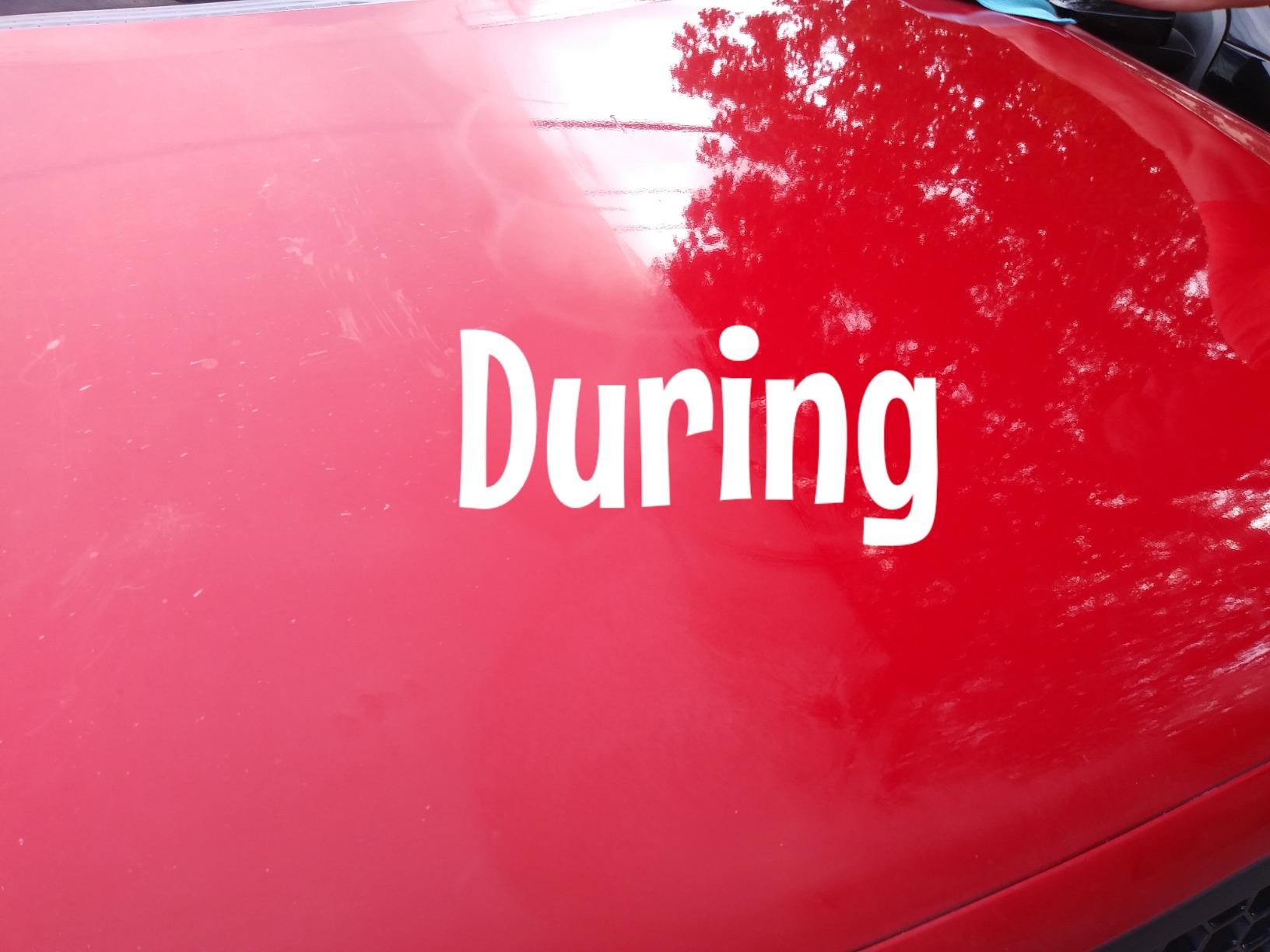 Rupes LHR21ES Big Foot Random Orbital Polisher customer photo 2