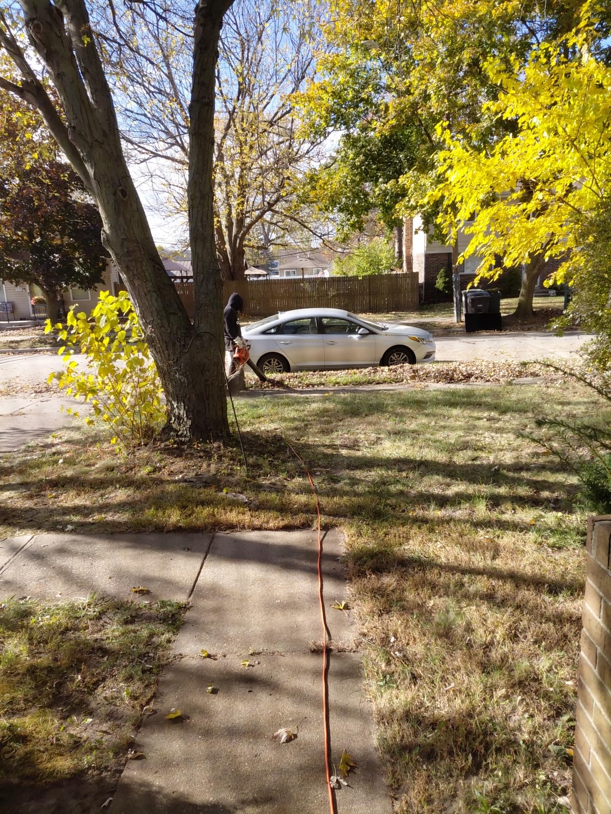 BLACK+DECKER Leaf Blower Leaf Vacuum and Leaf Mulcher 3-in-1, Electric Blowers for Lawn Care, 12 Amp, 250 MPH, 400 CFM (BV6000) customer photo 1