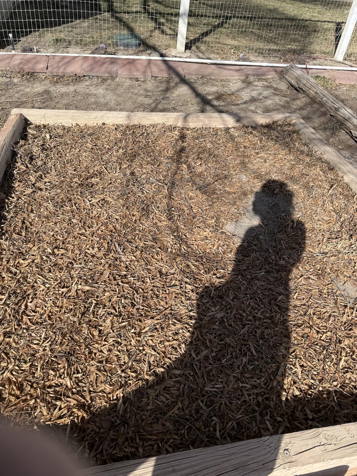 BLACK+DECKER Leaf Blower Leaf Vacuum and Leaf Mulcher 3-in-1, Electric Blowers for Lawn Care, 12 Amp, 250 MPH, 400 CFM (BV6000) customer photo 2