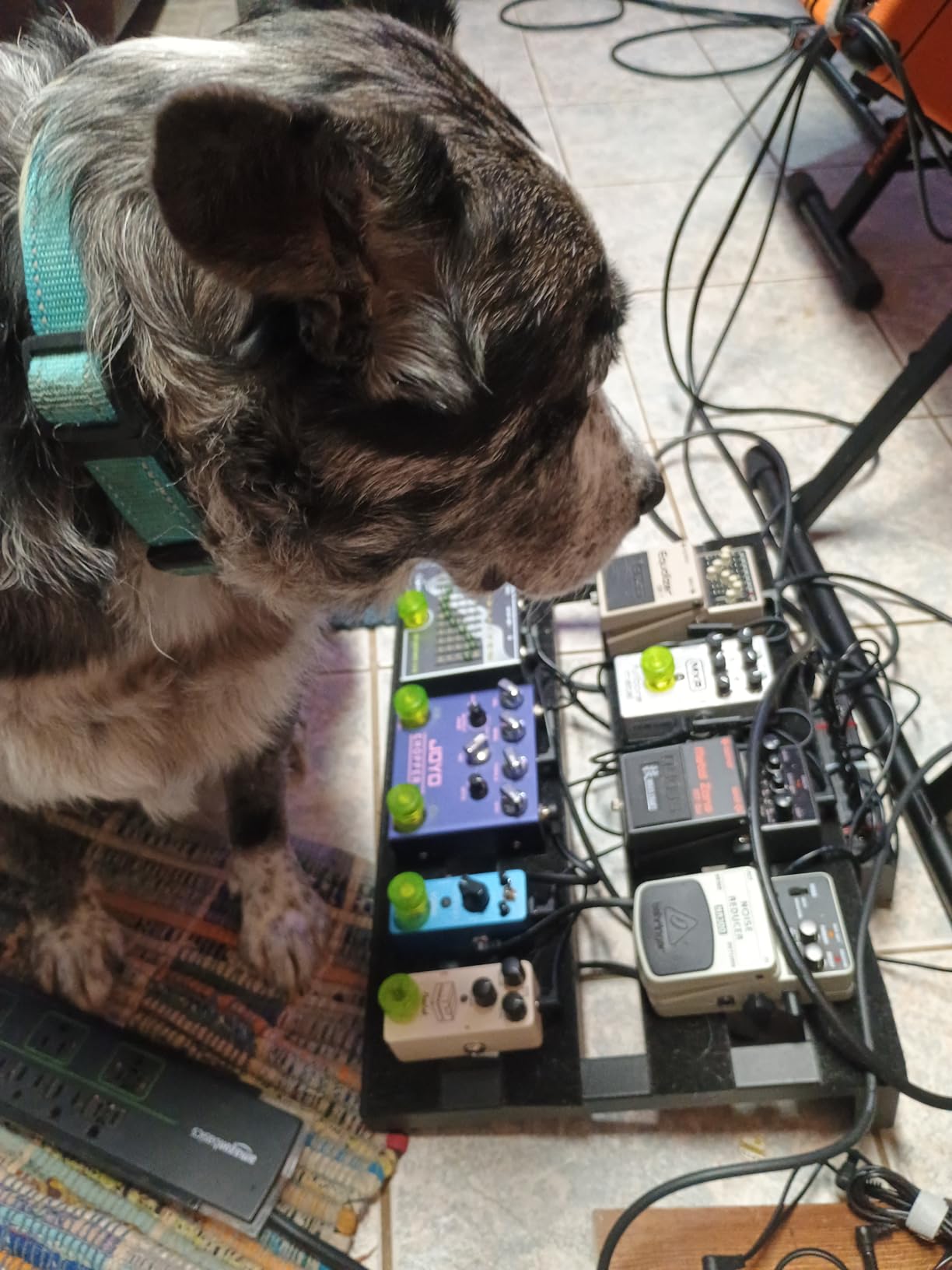 Donner Overdrive Guitar Pedal - Blues Drive Vintage Overdrive customer photo 1