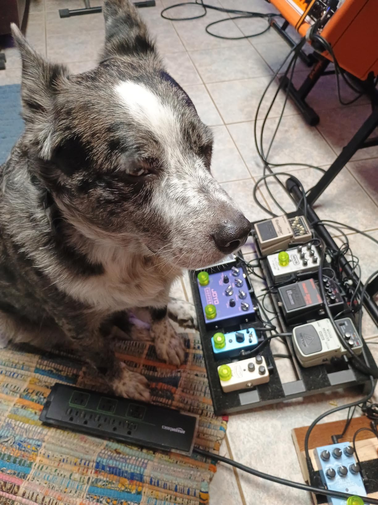 Donner Overdrive Guitar Pedal - Blues Drive Vintage Overdrive customer photo 2