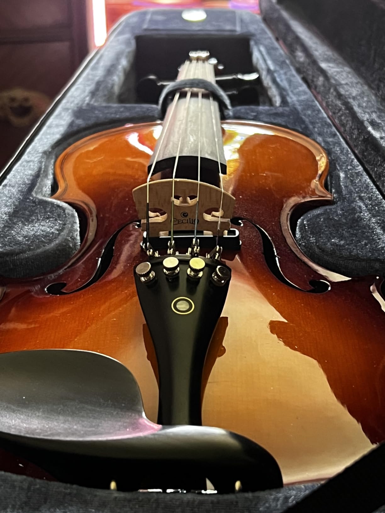 Cecilio 4/4 Full Size Acoustic & Electric Violin for Beginners & Professionals, Hand-Carved Solid Spruce Top, Ebony Fine Tuners, Full Set with Case, Bow, Rosin & AUX Cable customer photo 1