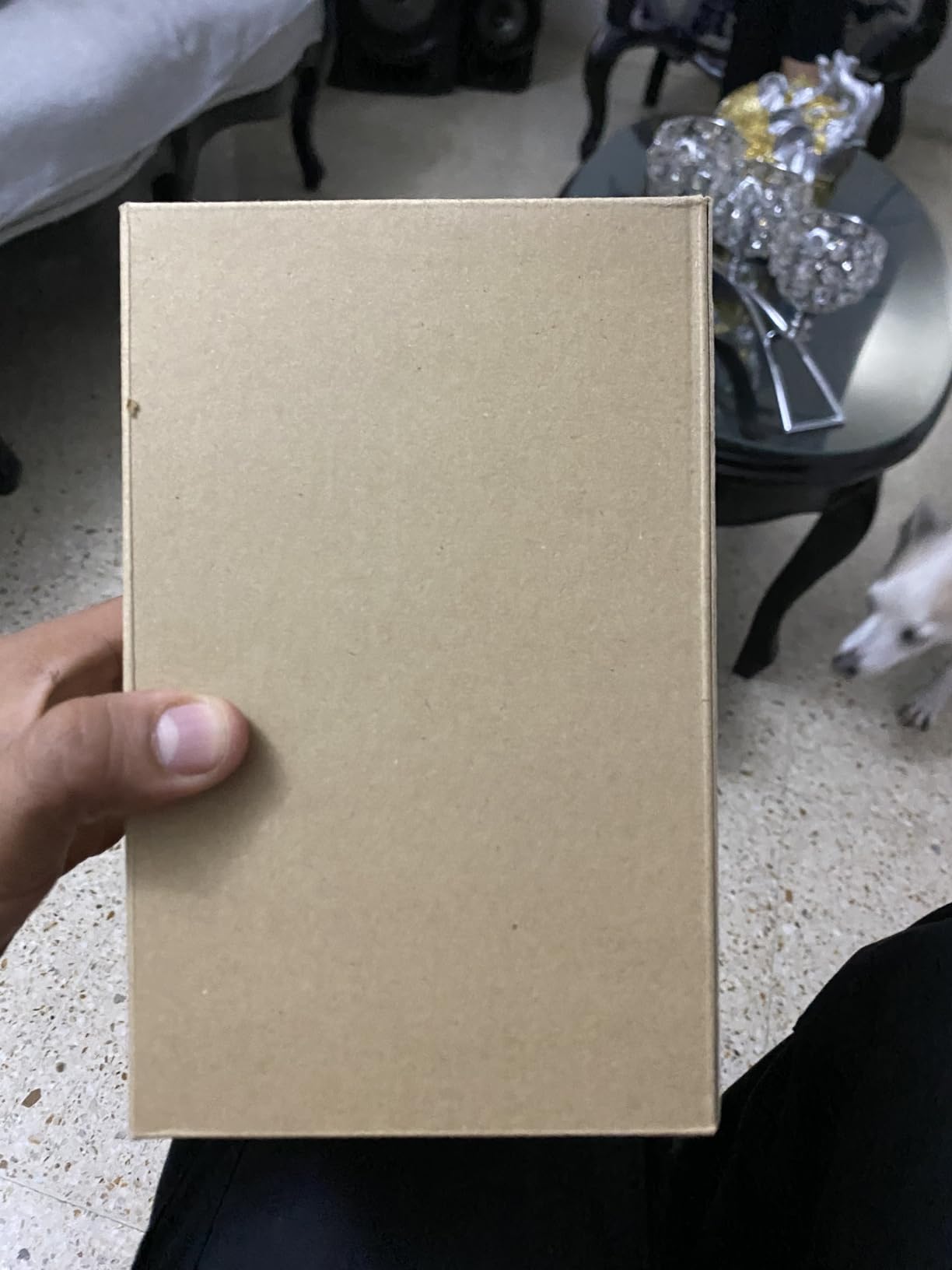 Sony E 55-210mm F4.5-6.3 Lens for Sony E-Mount Cameras (Black) customer photo 1