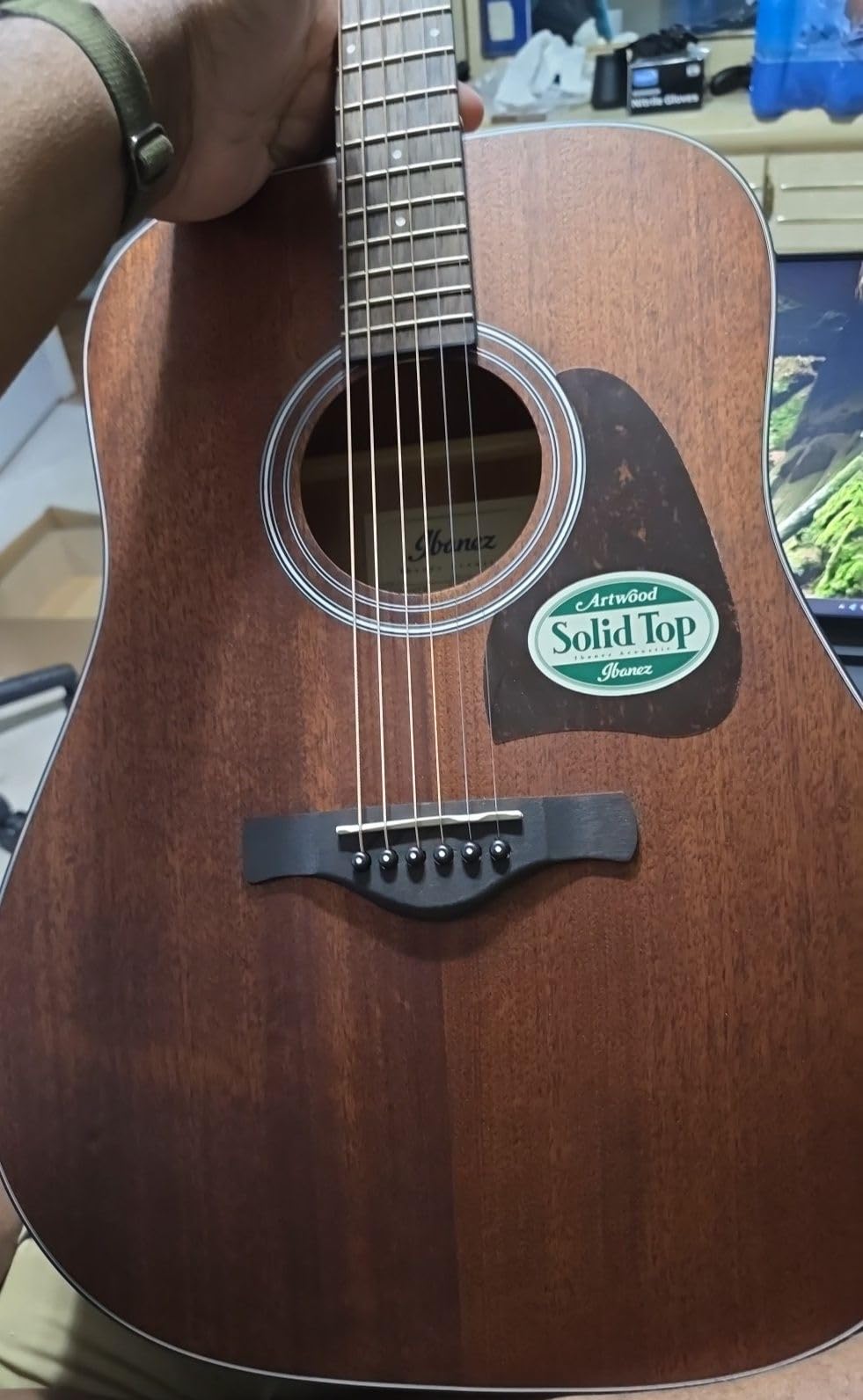 Ibanez Artwood Dreadnought Acoustic Guitar-Open Pore Natural customer photo 1