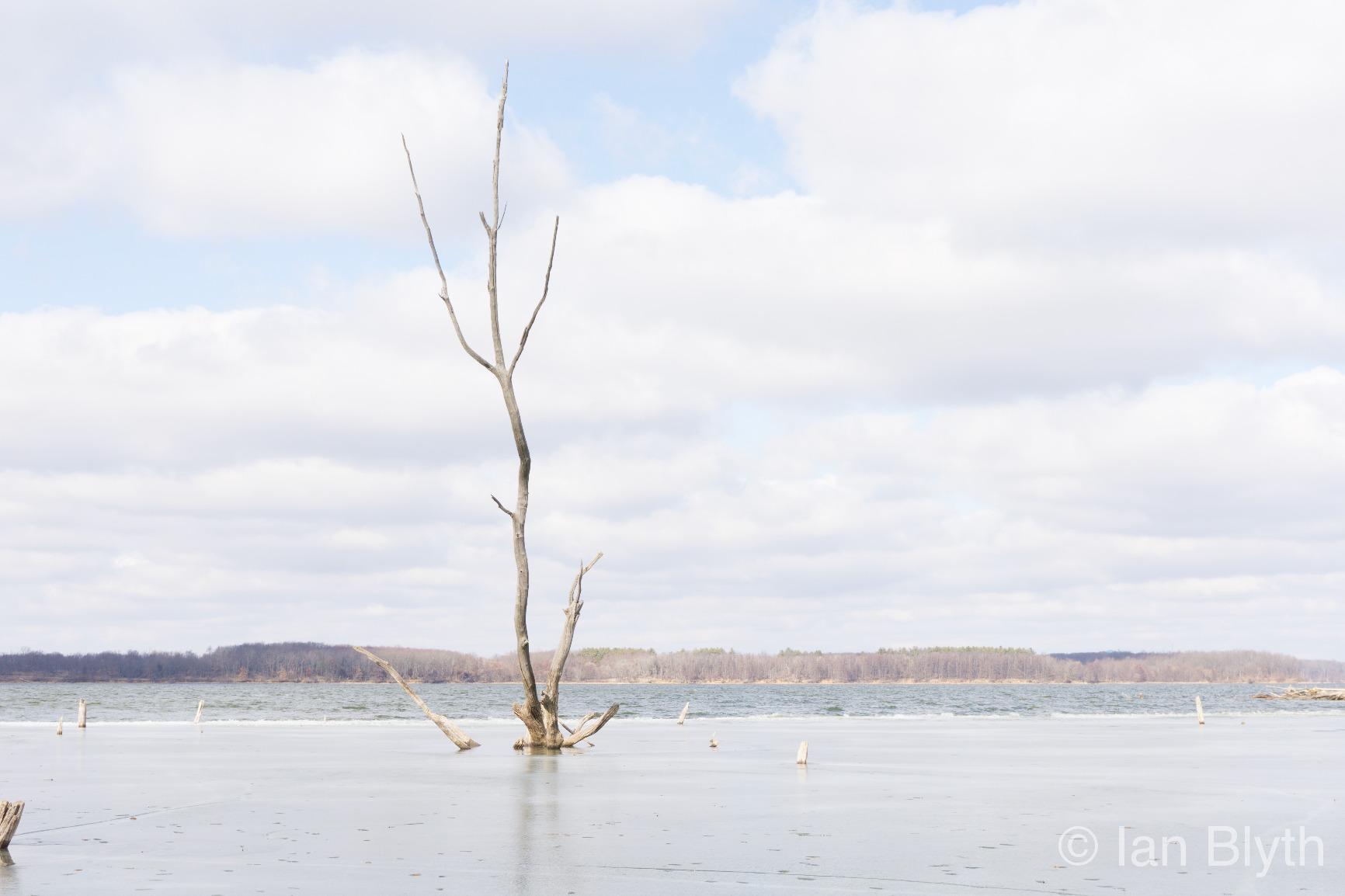 Sony Alpha a6000 Mirrorless Digital Camera 24.3MP SLR Camera with 3.0-Inch LCD (Black) w/16-50mm Power Zoom Lens customer photo 2