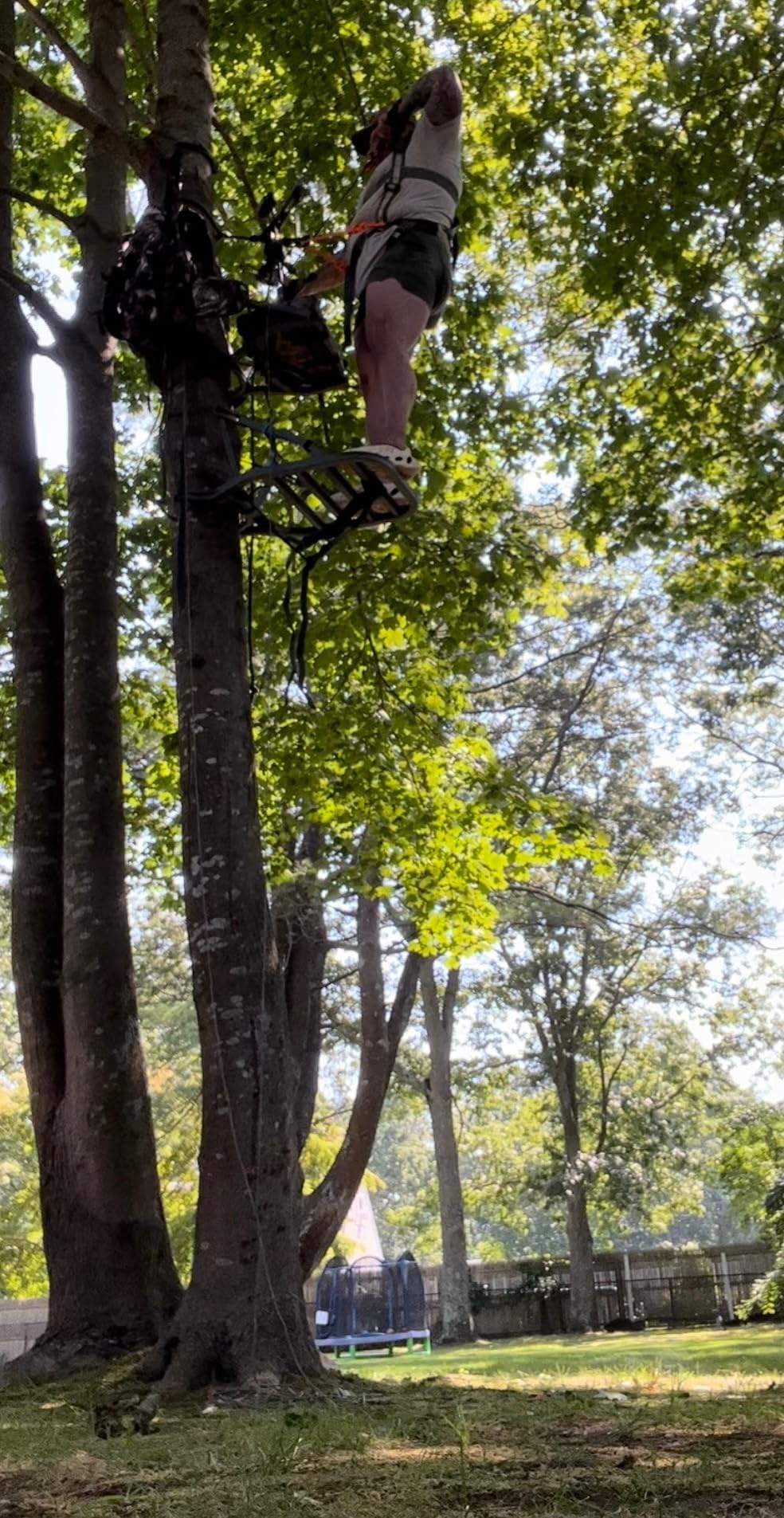 Summit Treestands OpenShot SD Climbing Treestand, Mossy Oak customer photo 1