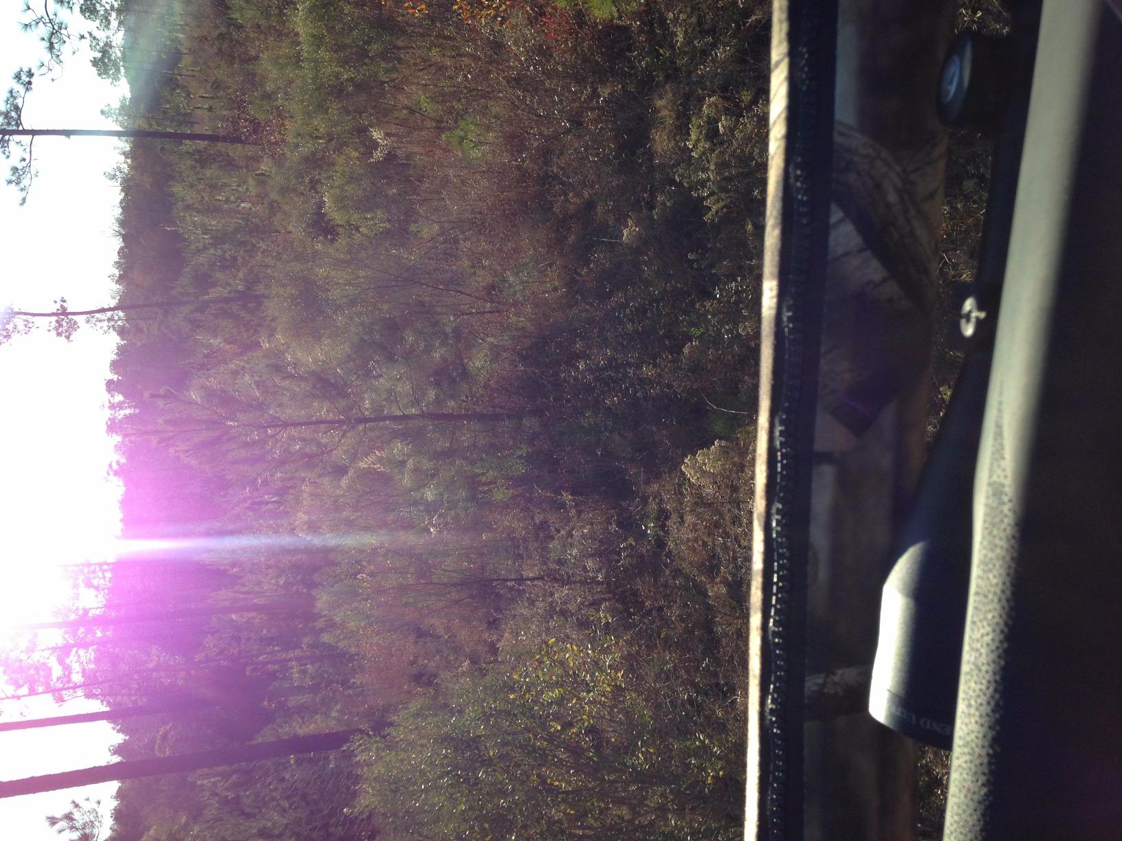 Summit Treestands Titan SD Climbing Treestand customer photo 1