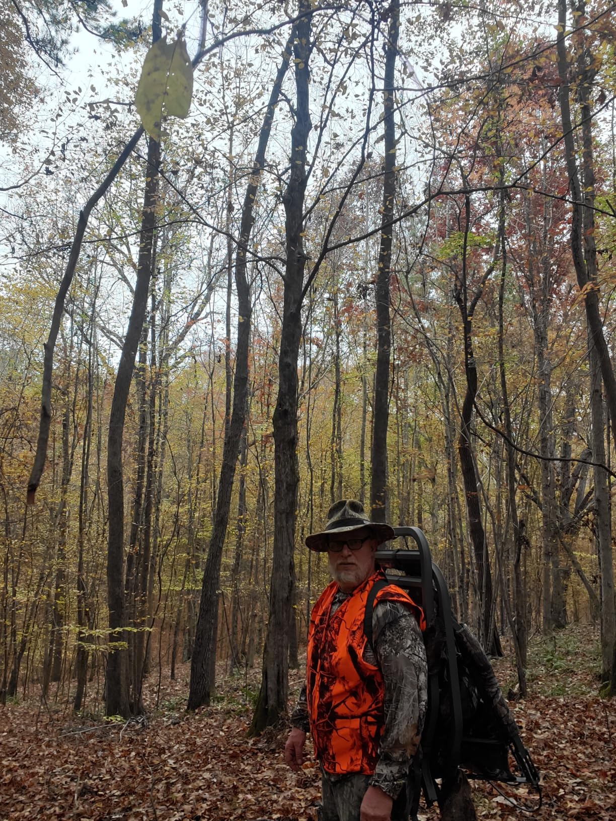Summit Treestands Titan SD Climbing Treestand customer photo 2