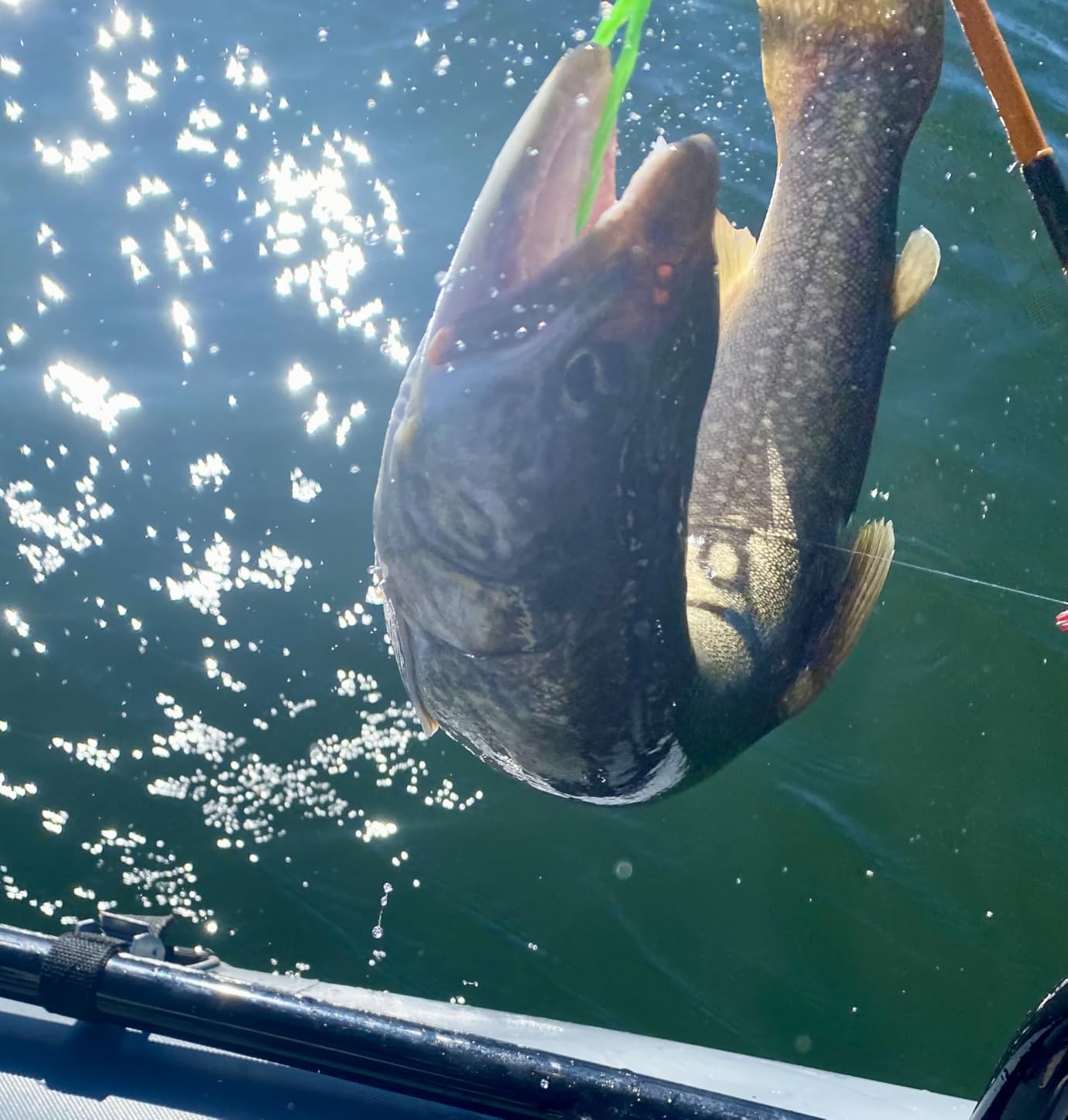 Reelsonar iBobber Portable Wireless Bluetooth Fish Finder customer photo 1