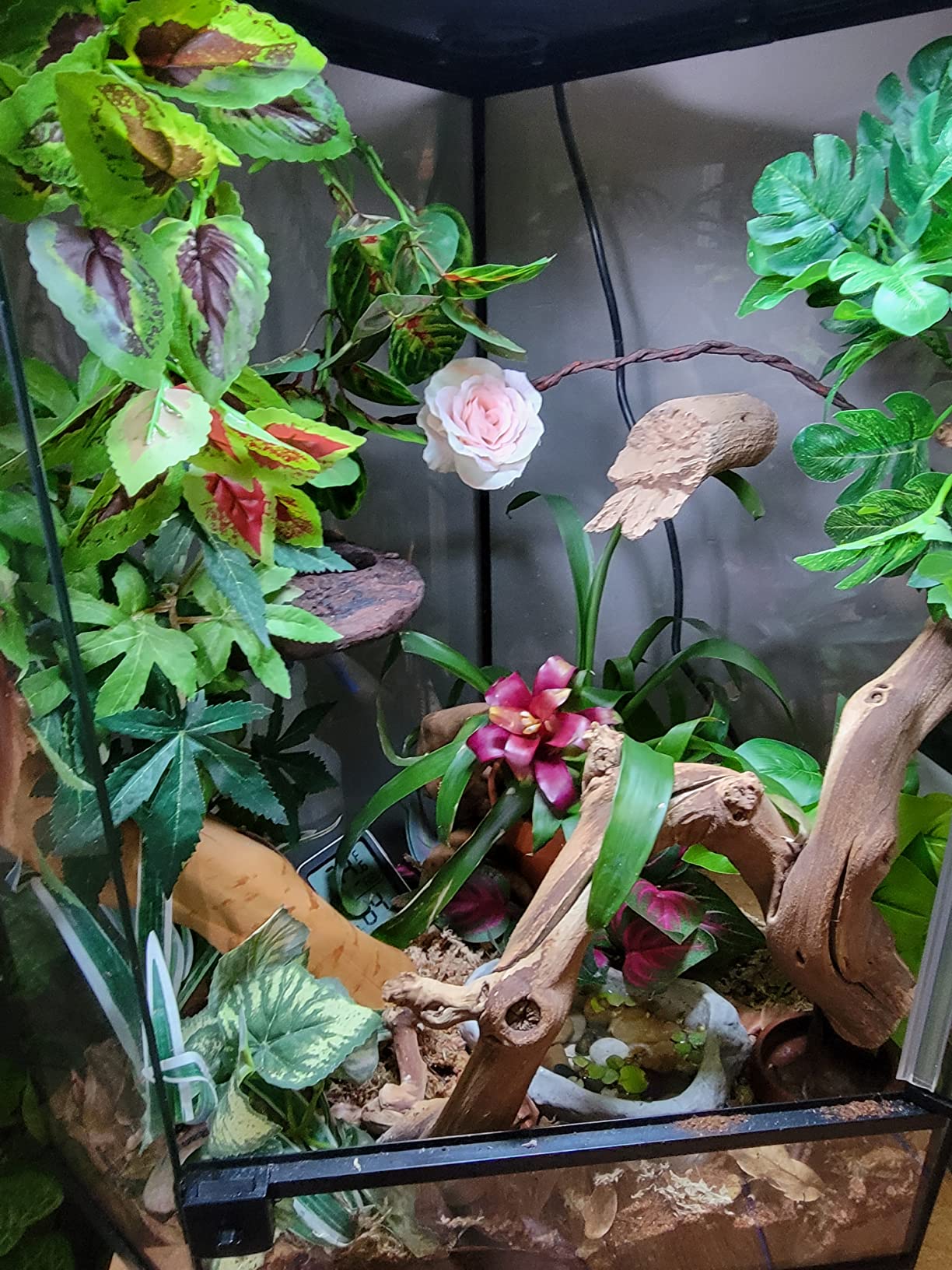 Zoo Med 5.0 T5-HO 14