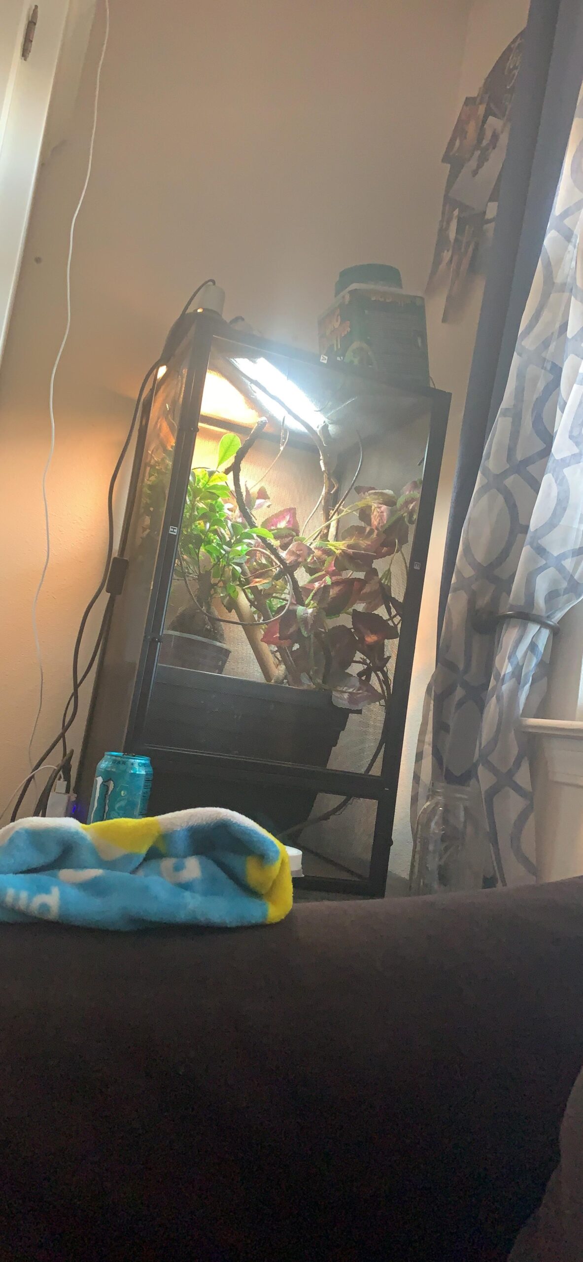 Zoo Med 5.0 T5-HO 14