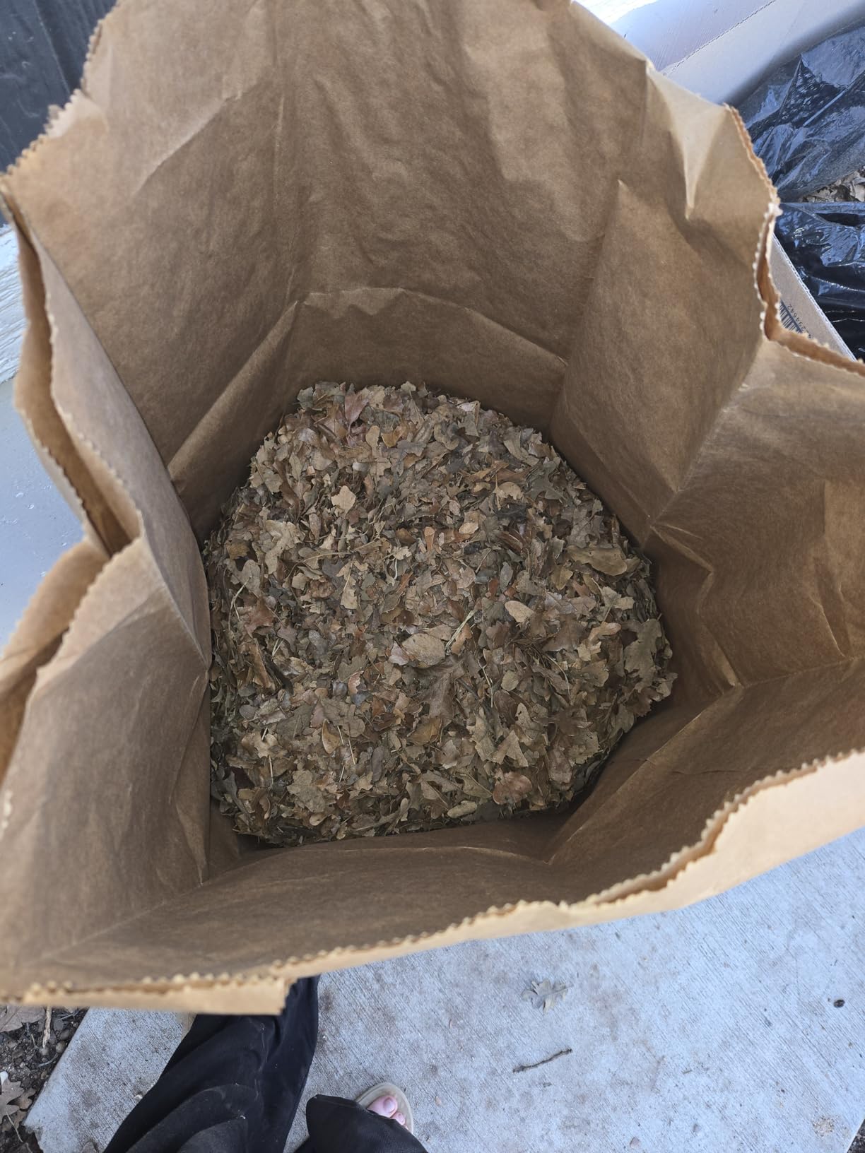 WORX Trivac 3 in 1 Electric Leaf Blower for Lawn Care, Leaf Vacuum with 350 CFM & 210 MPH, Leaf Mulcher with Metal Impeller, WG509 customer photo 1