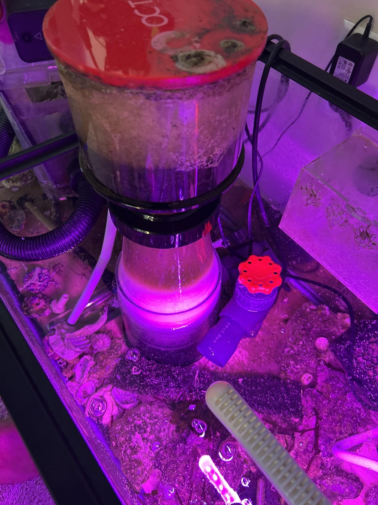 Reef Octopus Classic 150INT Protein Skimmer customer photo 1