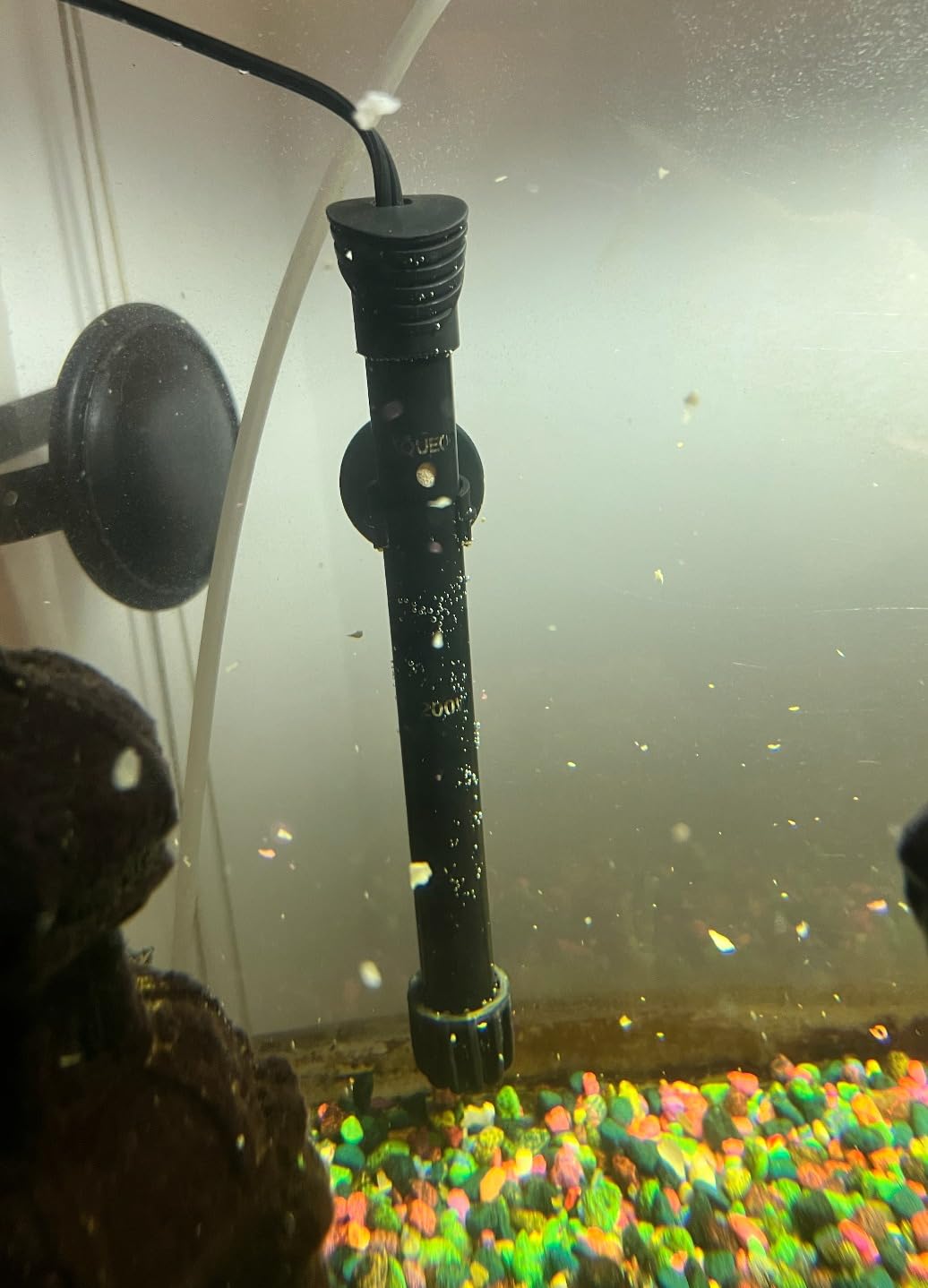 Aqueon Aquarium Fish Tank Preset Heater For Up To 75 Gallons, 200 Watts customer photo 1