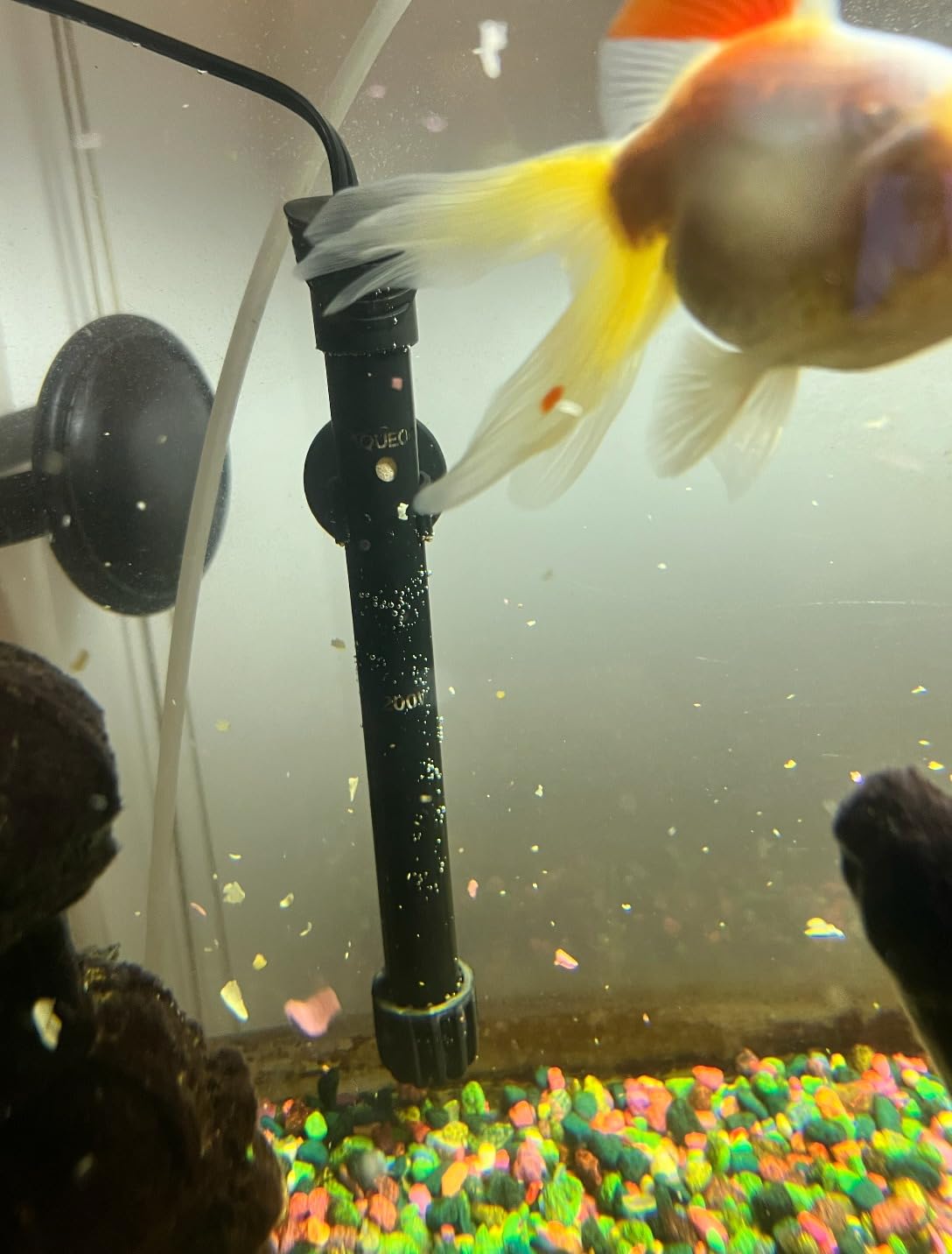 Aqueon Aquarium Fish Tank Preset Heater For Up To 75 Gallons, 200 Watts customer photo 2