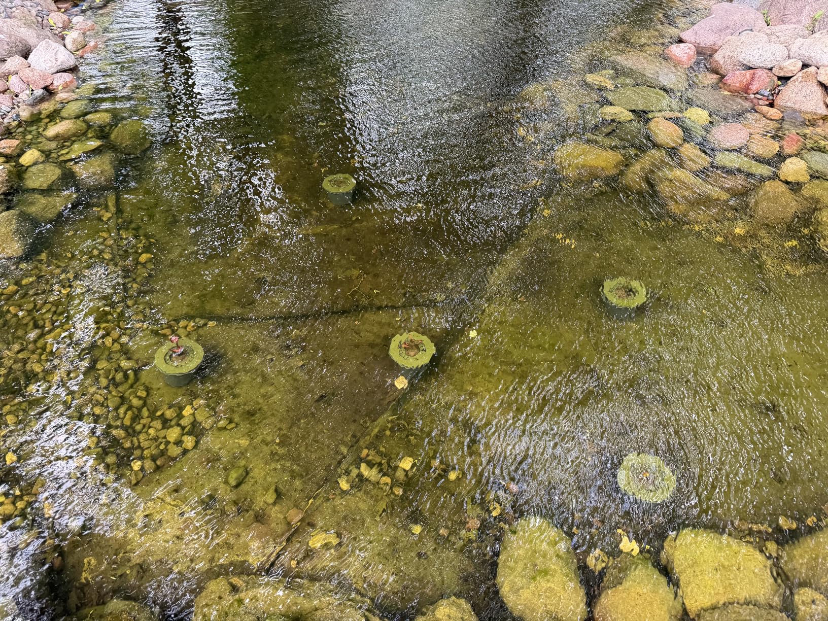 CrystalClear PondAir 2, Complete Aeration Kit, Whisper Quiet Water Garden Oxygenation Bubbler System customer photo 2