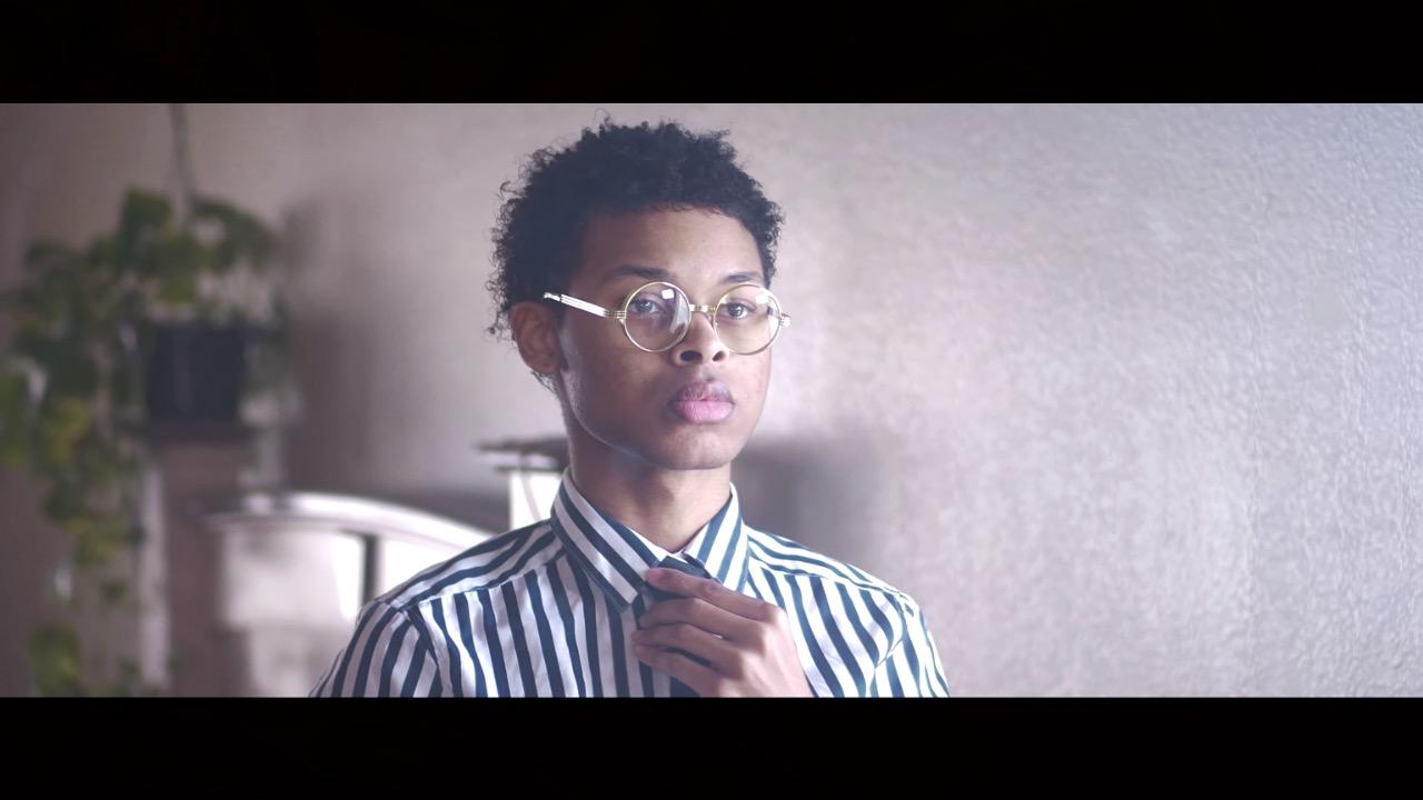 Selens 32 Inch (80cm) Reflector Photography, Collapsible Light Reflector with Carrying Case, 5 in 1 Handle Reflector for Photography Photo Studio Lighting -Translucent, Silver, Gold, White and Black customer photo 1