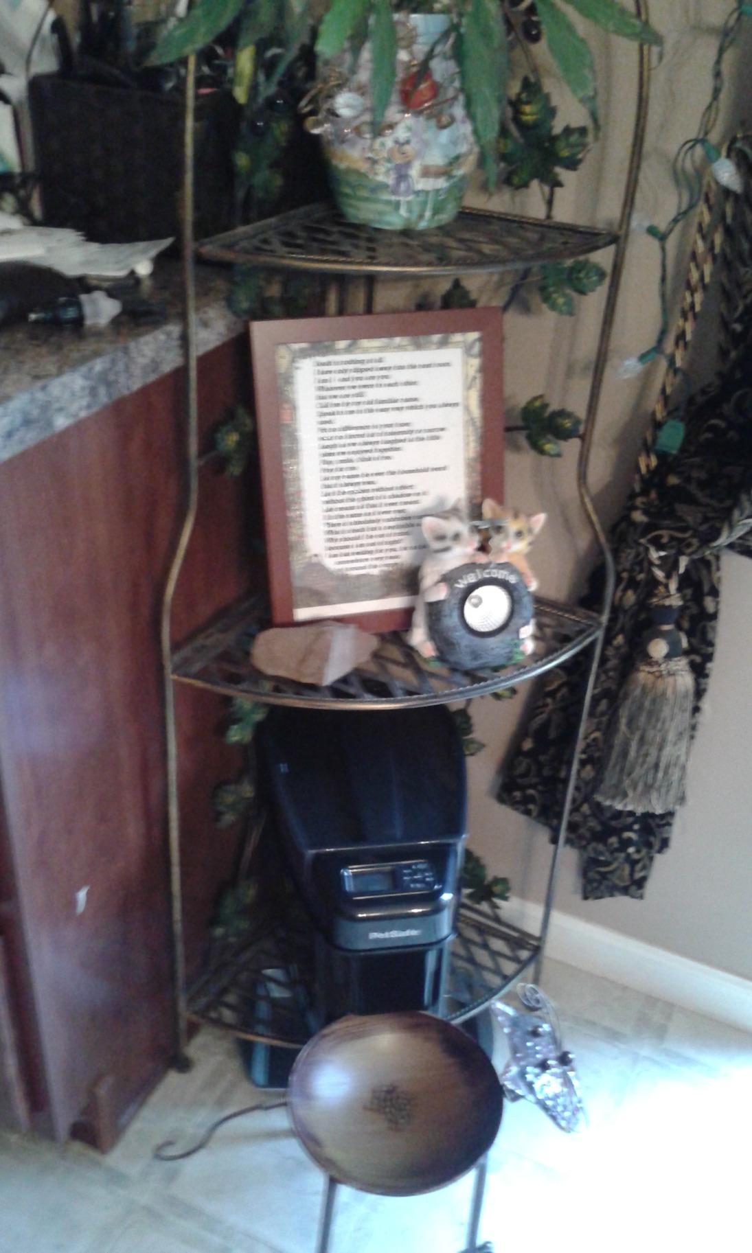 PetSafe Automatic Cat Feeder - Healthy Pet Simply Feed - Automatic Pet Feeder for Cats & Dogs - Timed Pet Feeder with Programmable Portion Control - Holds 24 Cups of Dry or Semi-Moist Dog or Cat Food customer photo 2