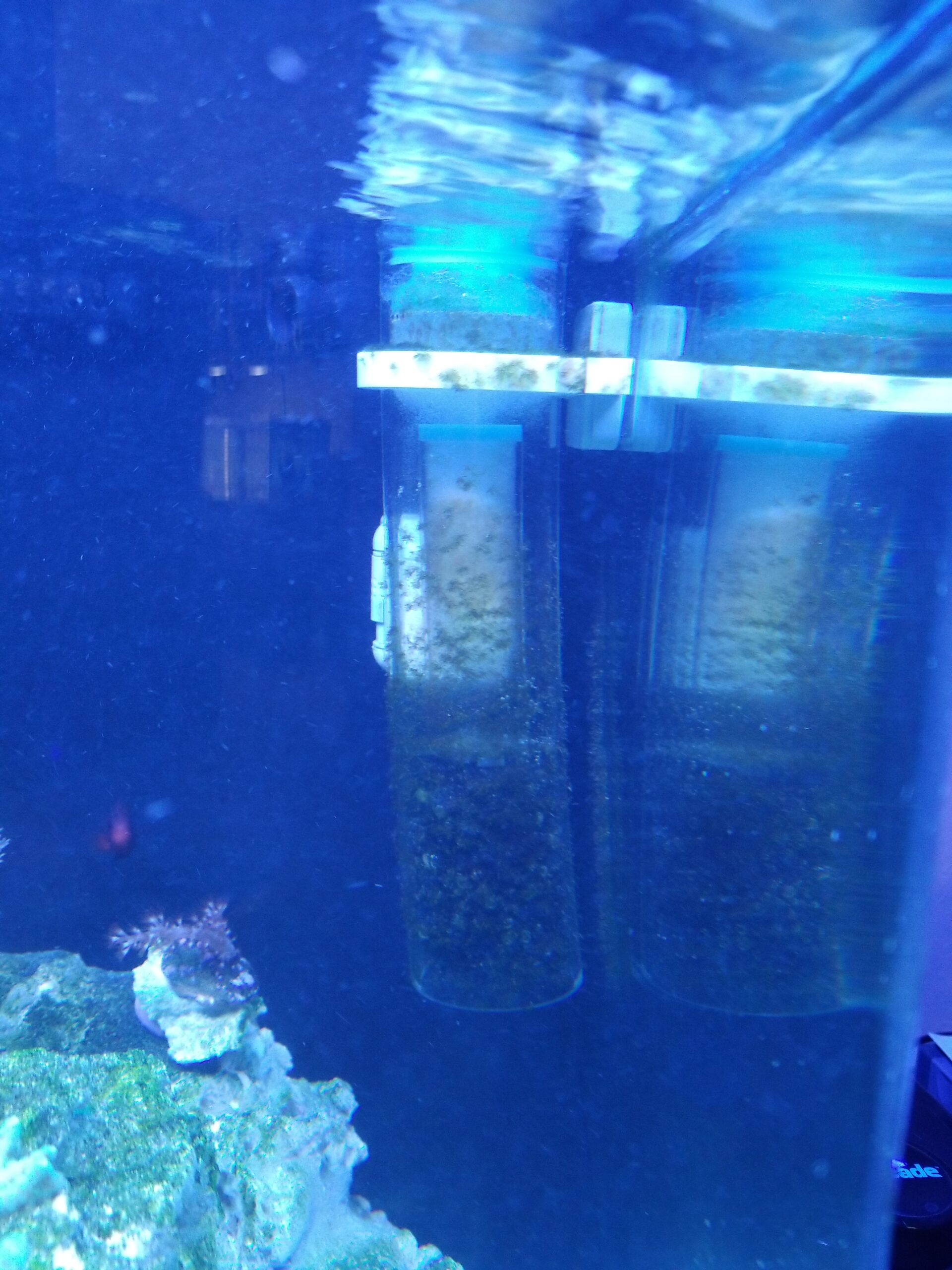 ESHOPPS Nano Skimmer | Protein Skimmer for Nano Tanks | New improved adjustable magnetic mount | Adjustable water height. Minimal foot print. Fits most All in one tanks back chamber customer photo 1