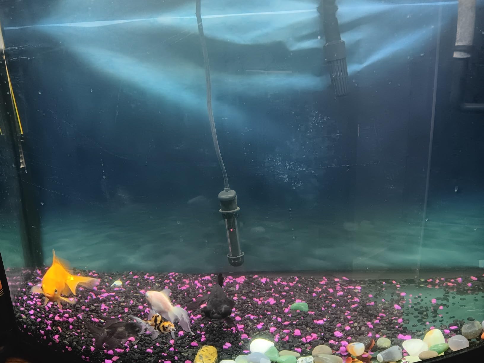 Marineland Magniflow Canister Filter 220 GPH For Aquariums, Easy Maintenance customer photo 1